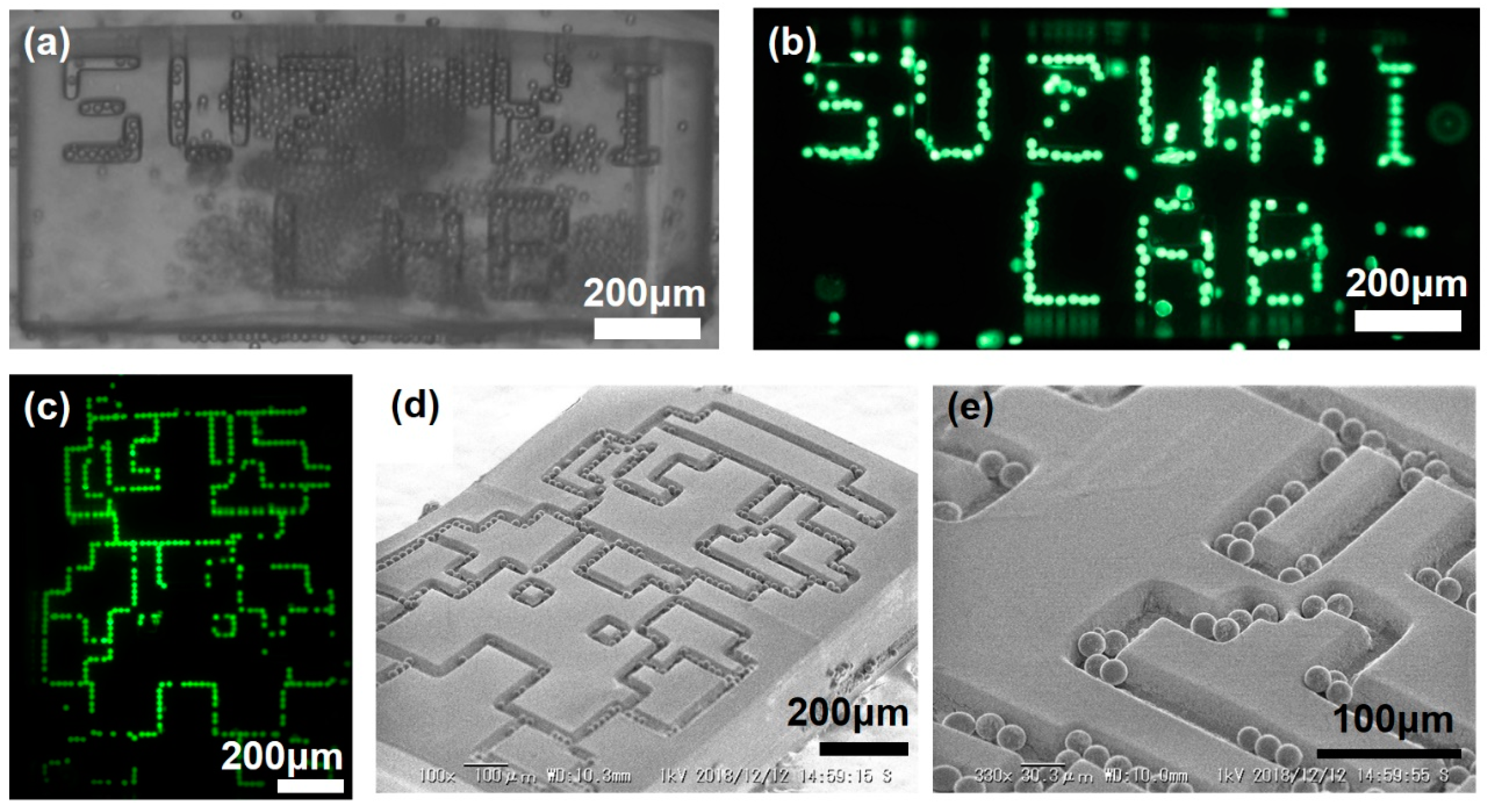 Micromachines 10 00428 g004