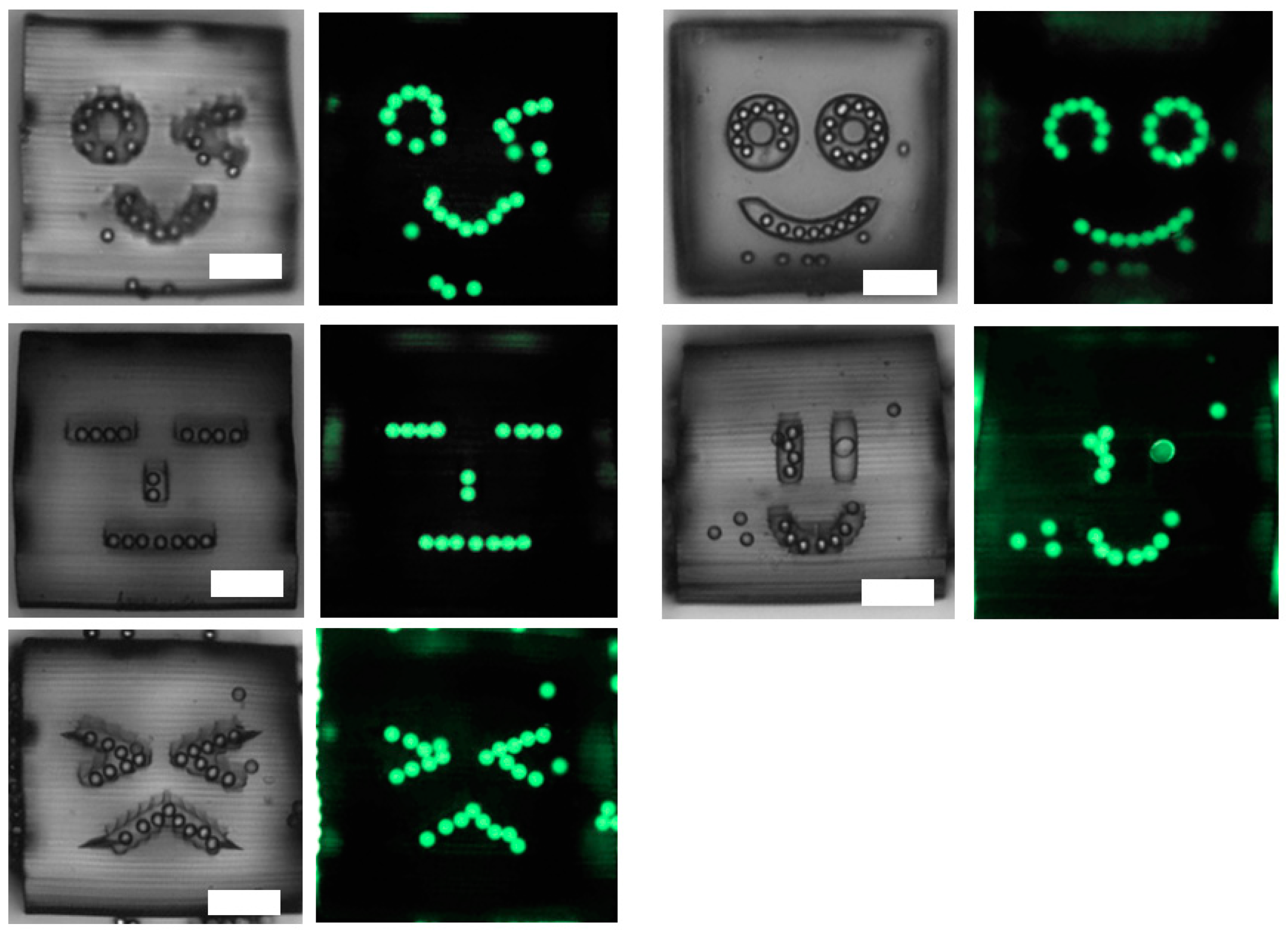 Micromachines 10 00428 g005