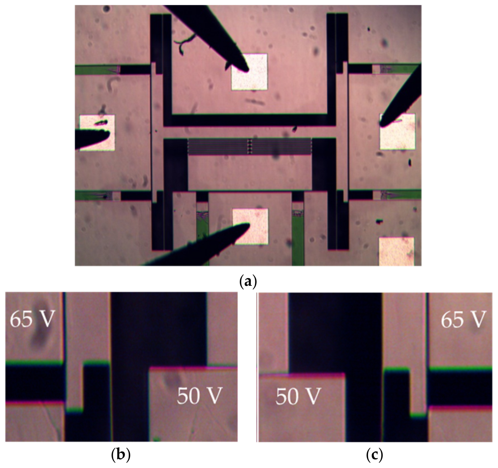 Micromachines 10 00435 g011