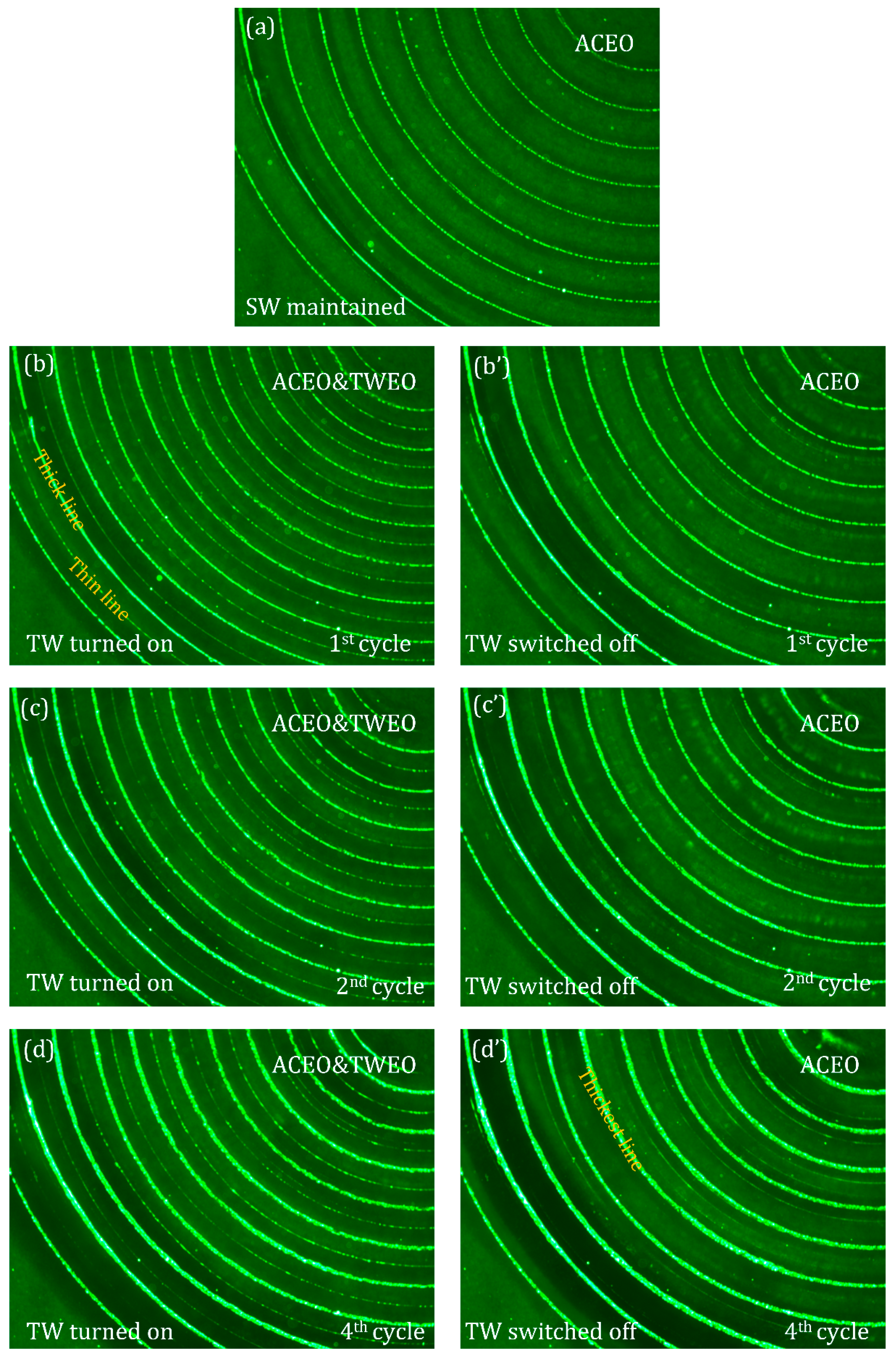 Micromachines 10 00447 g007