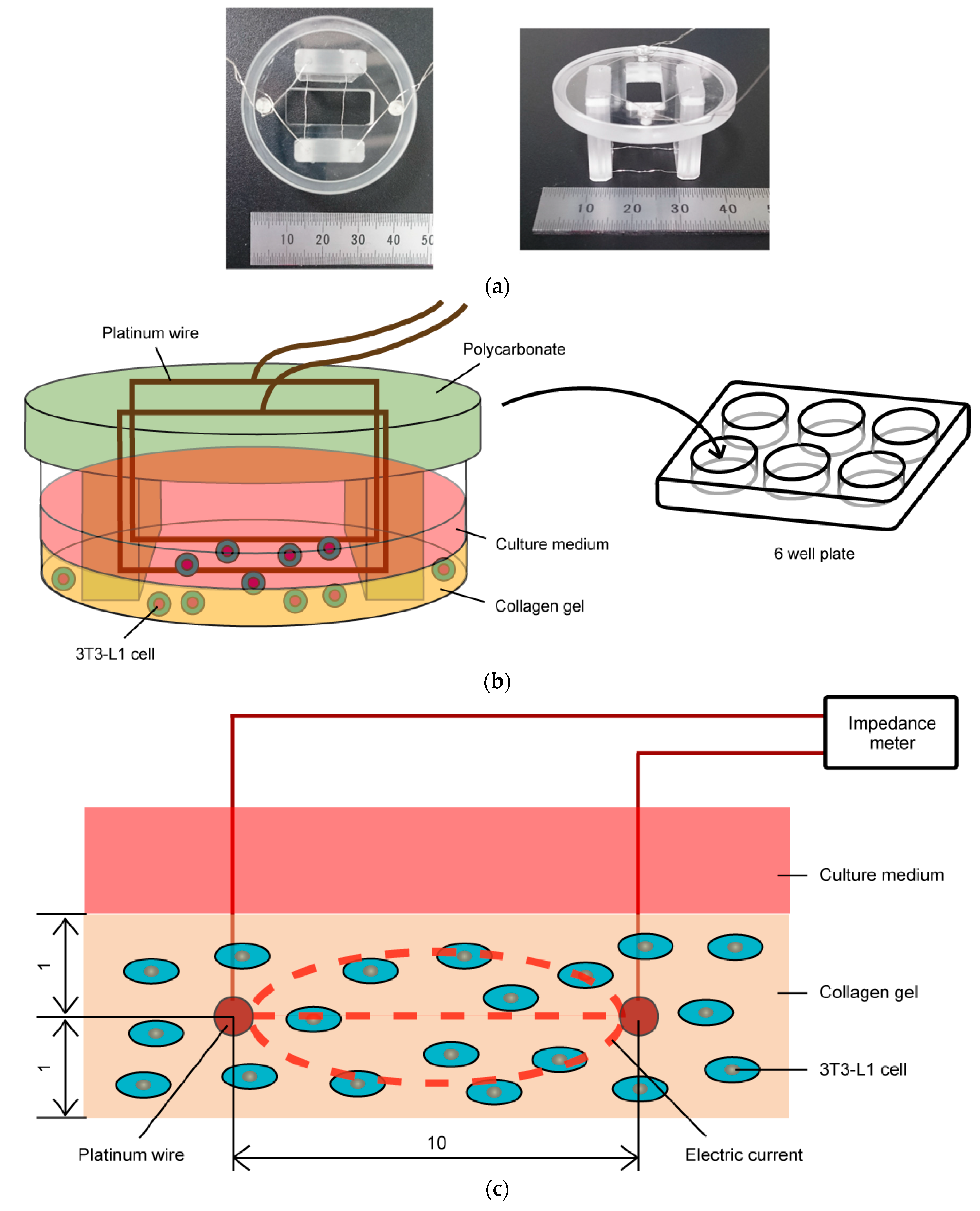 Micromachines 10 00455 g001