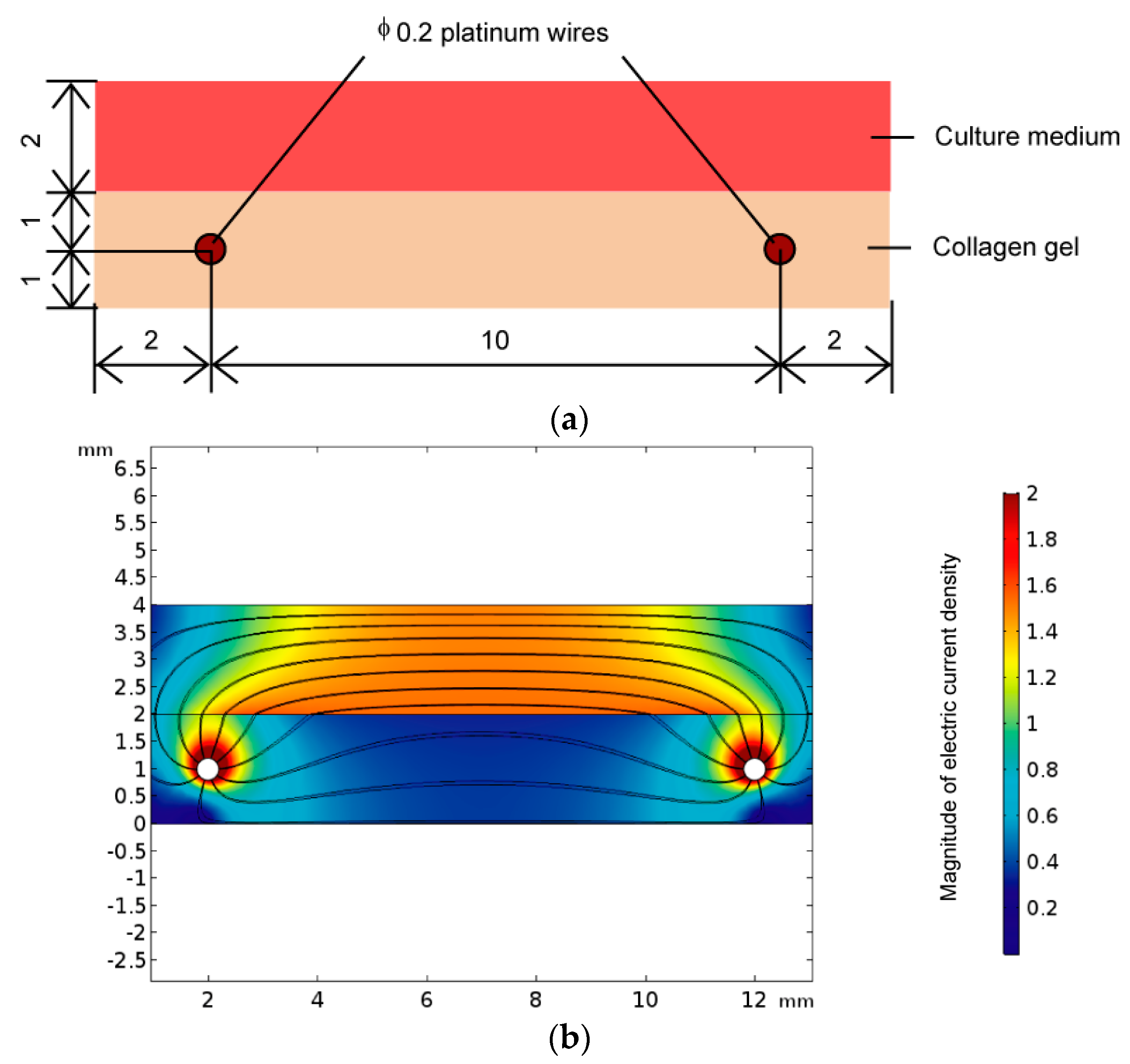 Micromachines 10 00455 g002