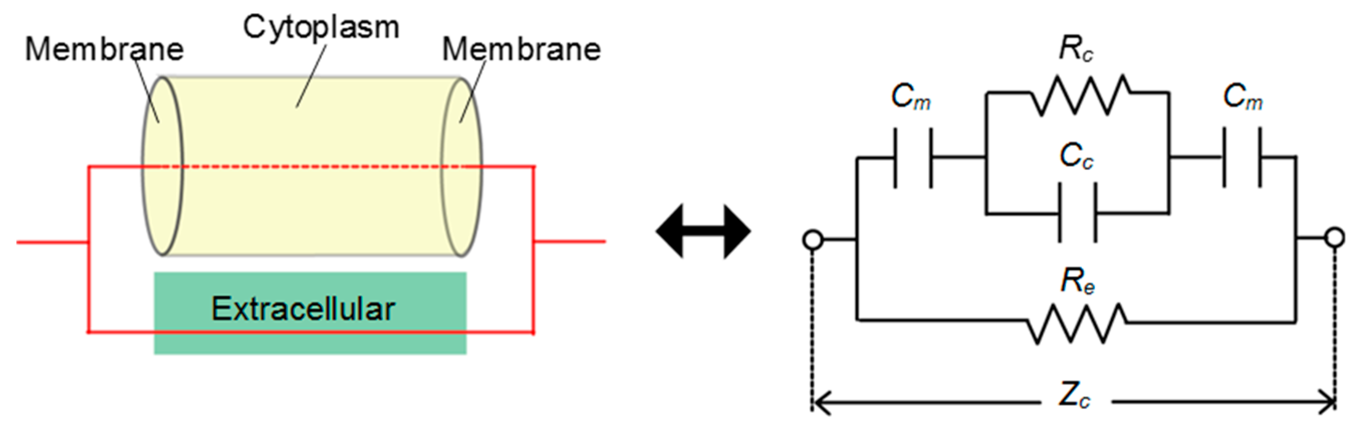 Micromachines 10 00455 g008