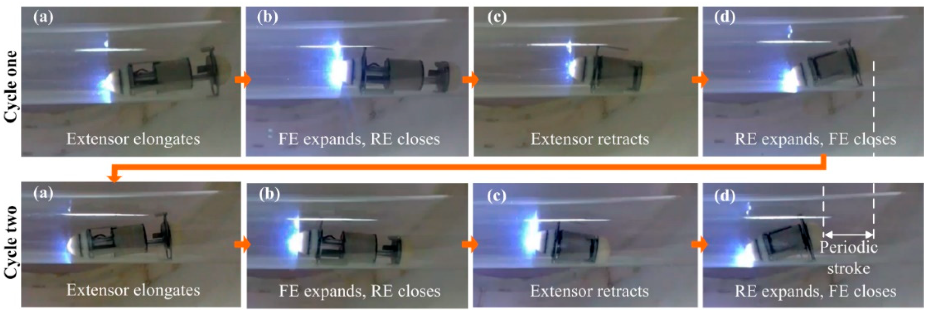 Micromachines 10 00456 g008