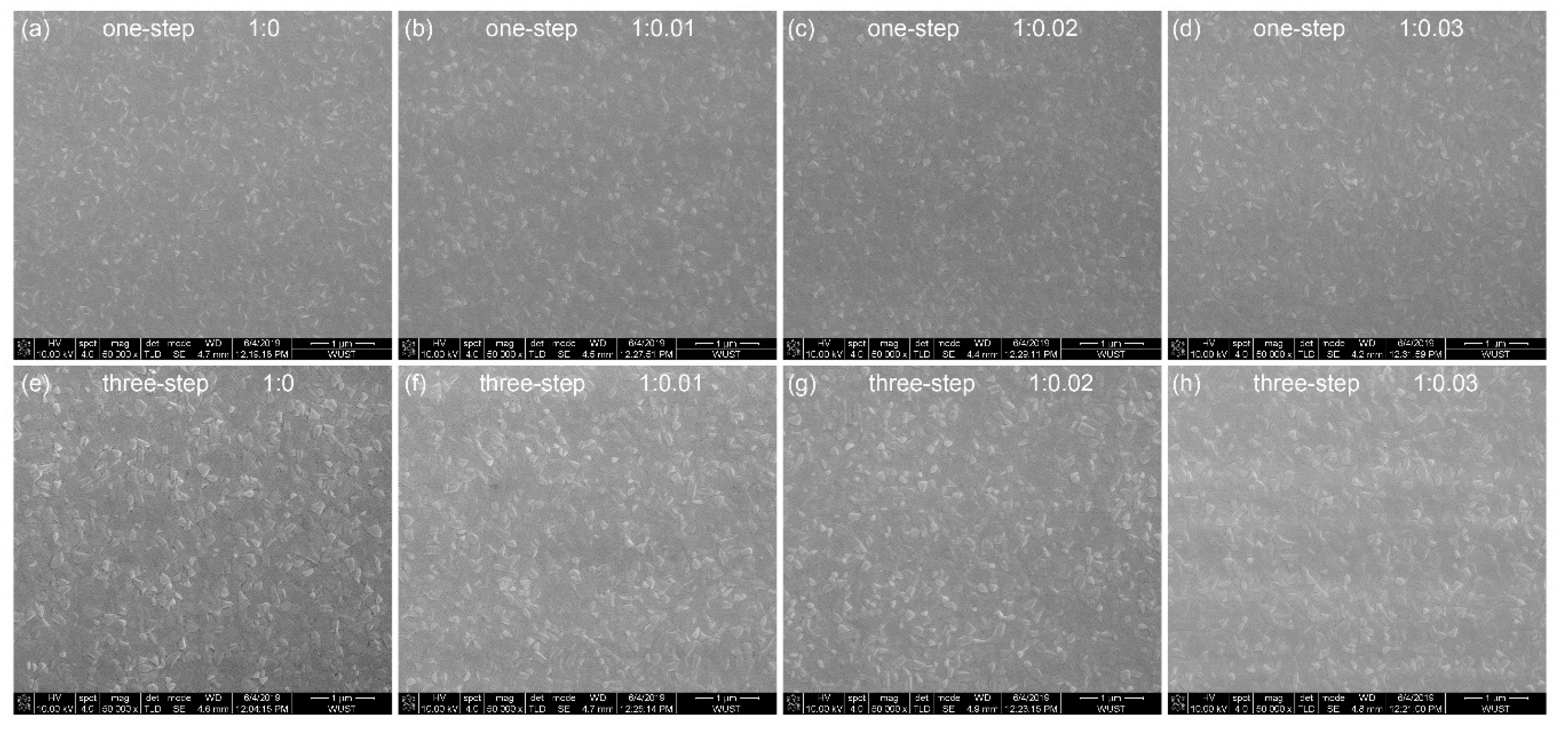 Micromachines 10 00459 g002