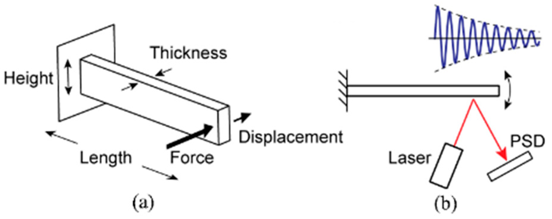 Micromachines 10 00470 g001