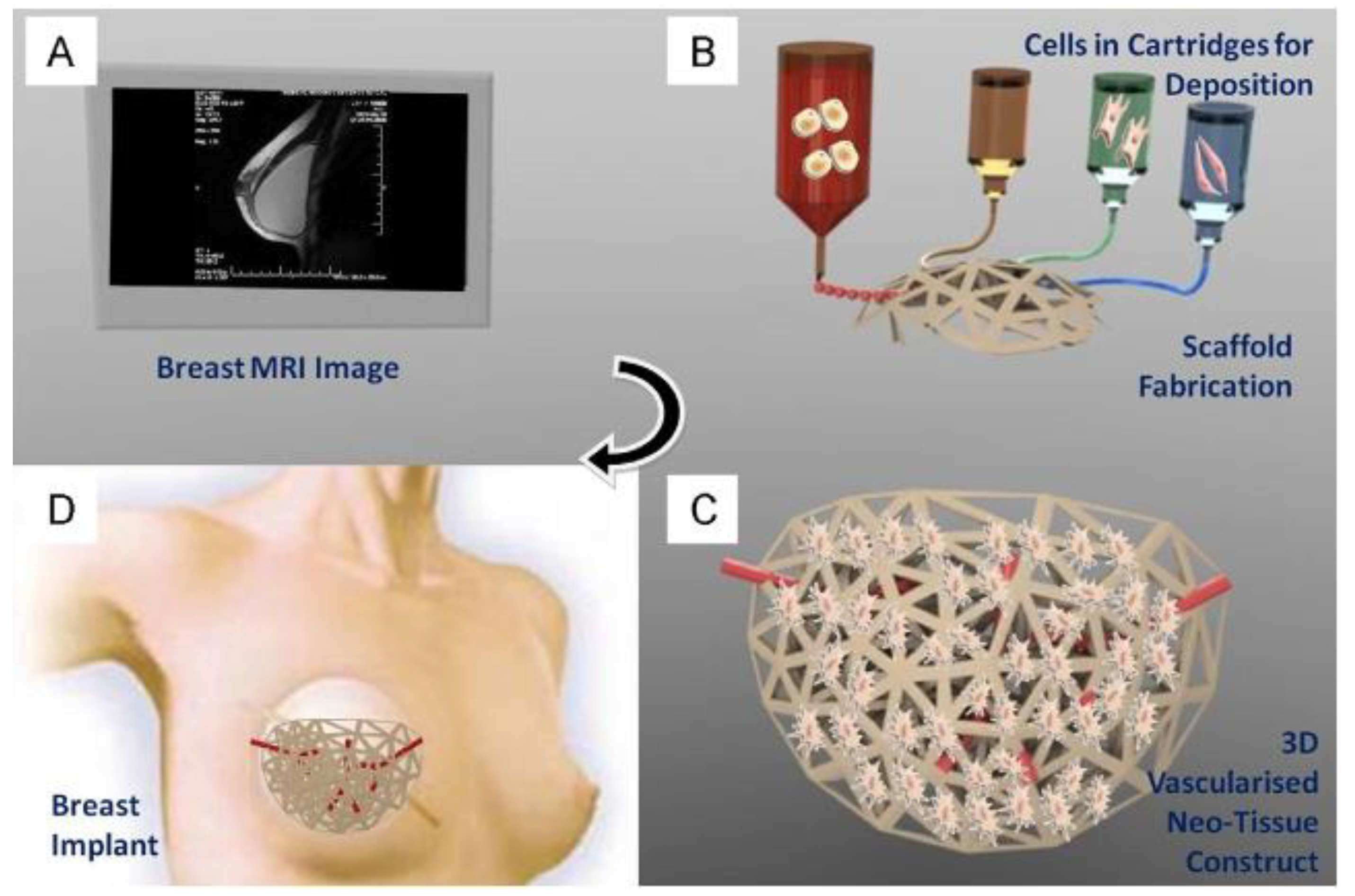 Micromachines 10 00474 g002