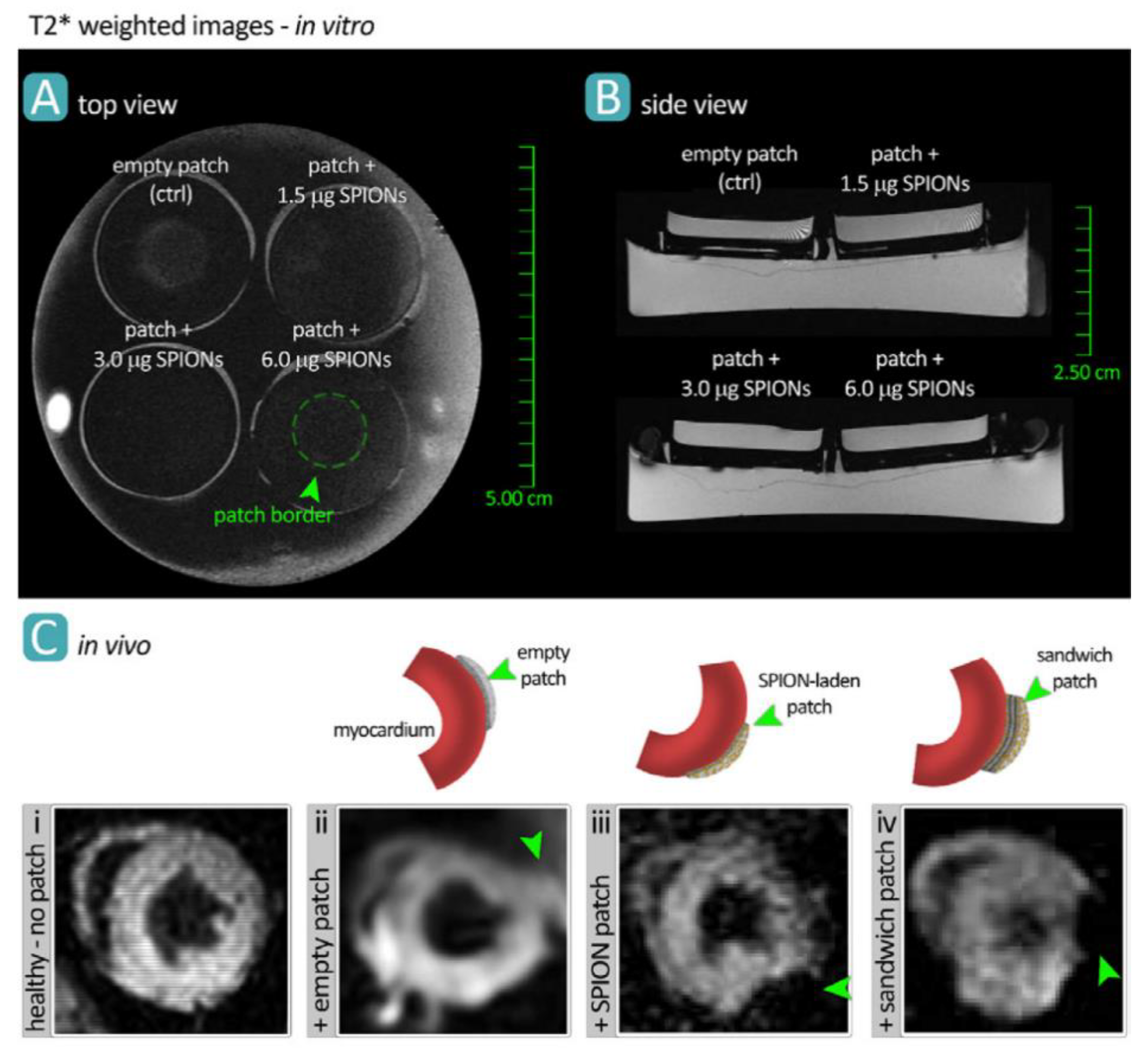 Micromachines 10 00474 g003