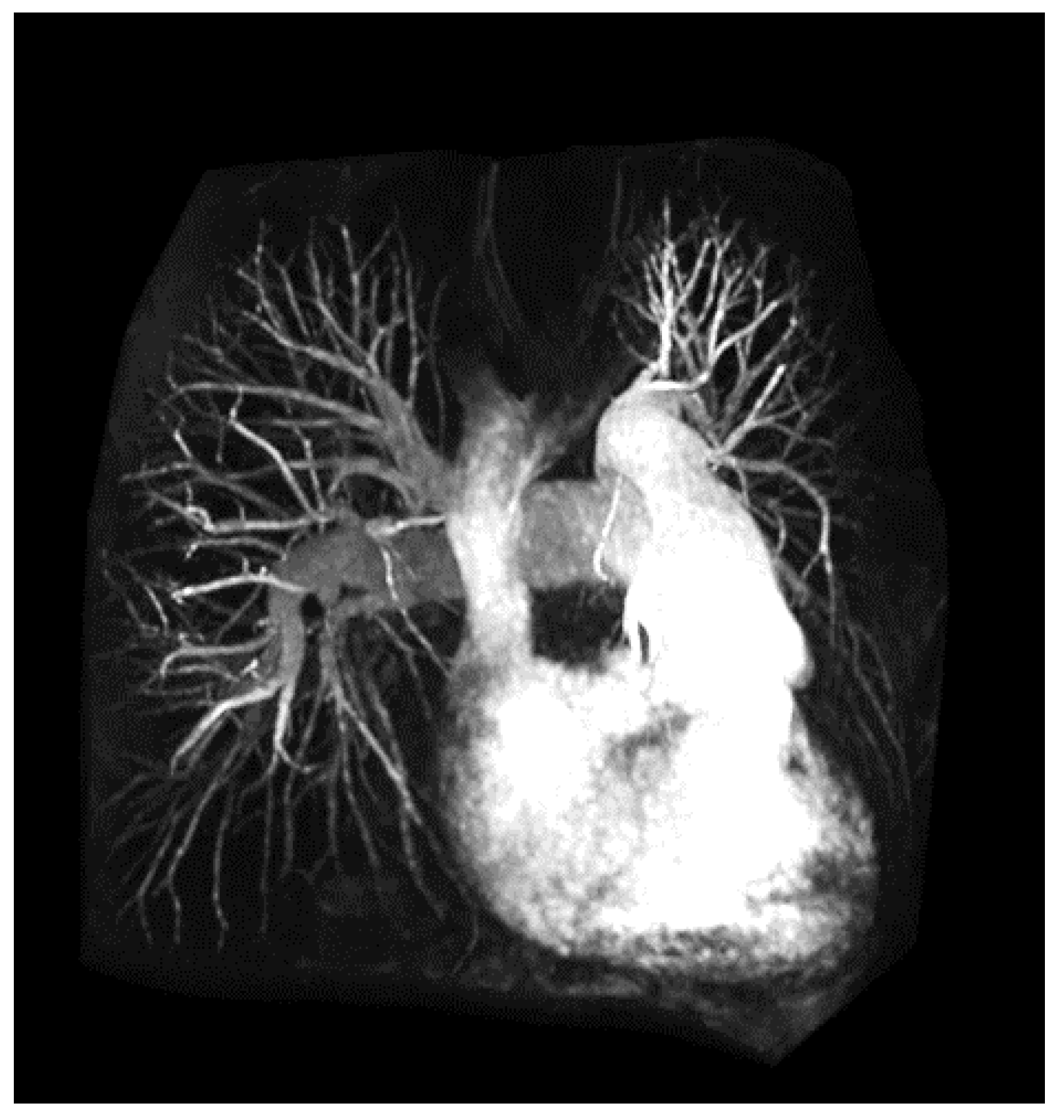 Micromachines 10 00474 g005