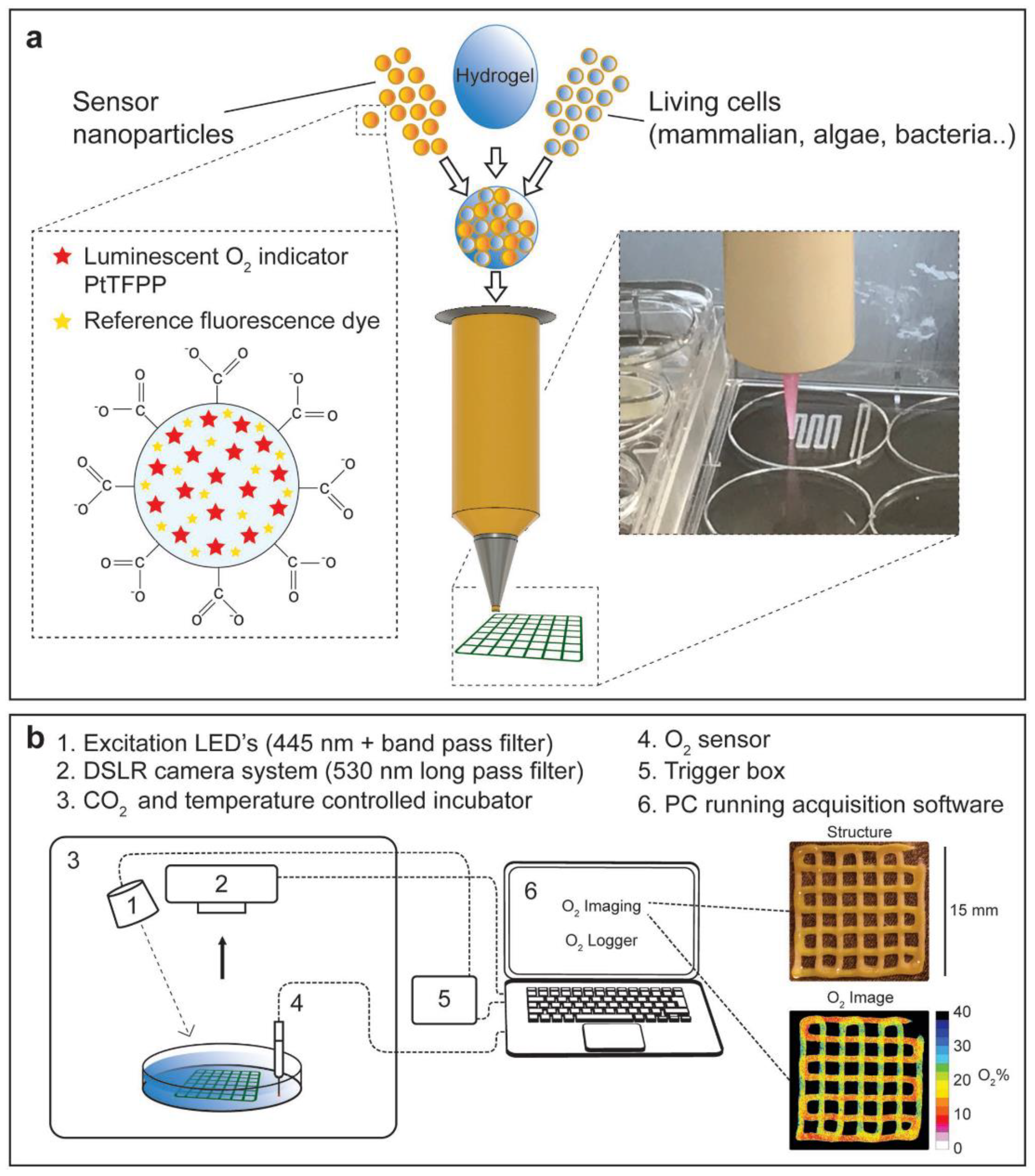 Micromachines 10 00474 g008