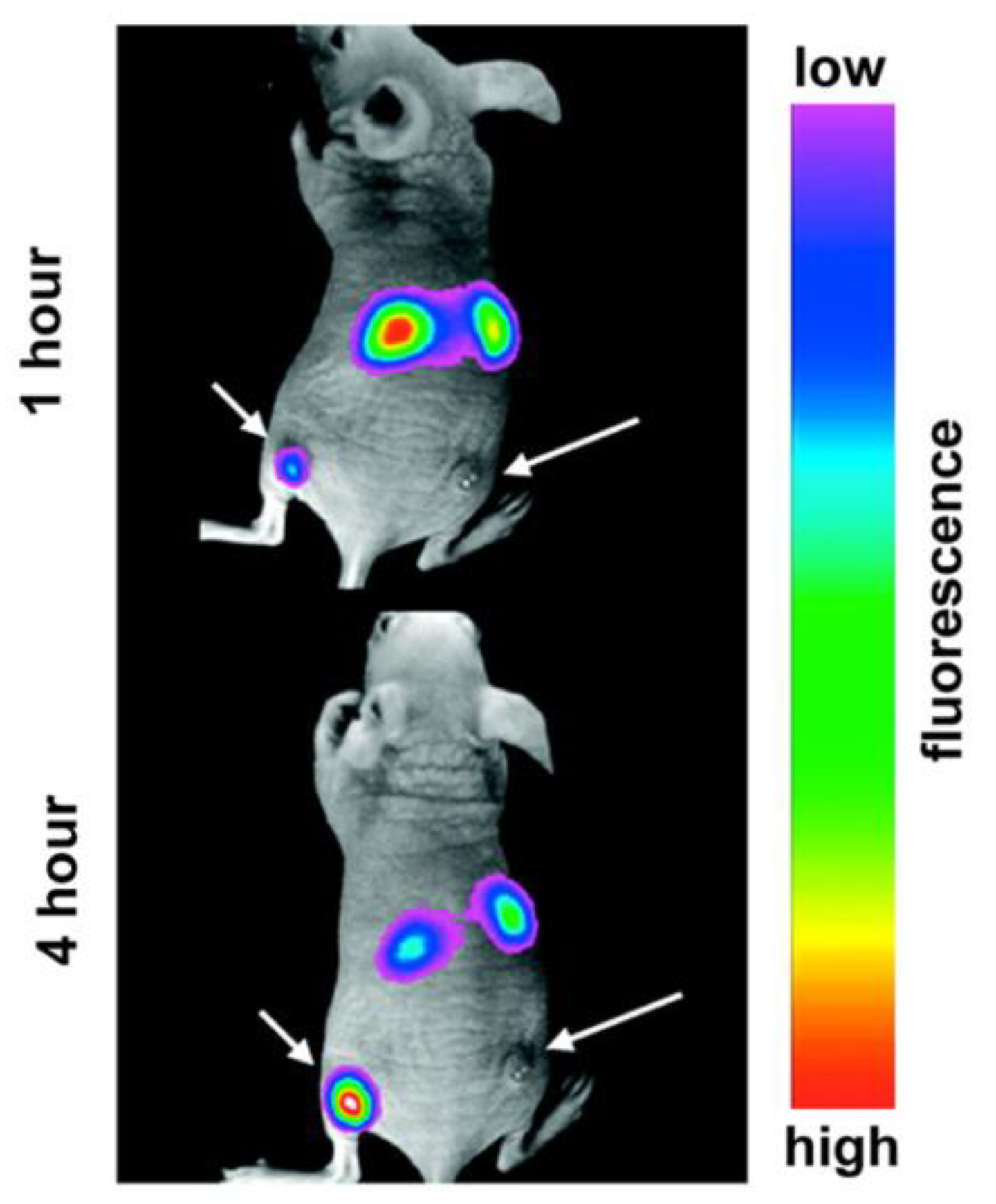 Micromachines 10 00474 g009