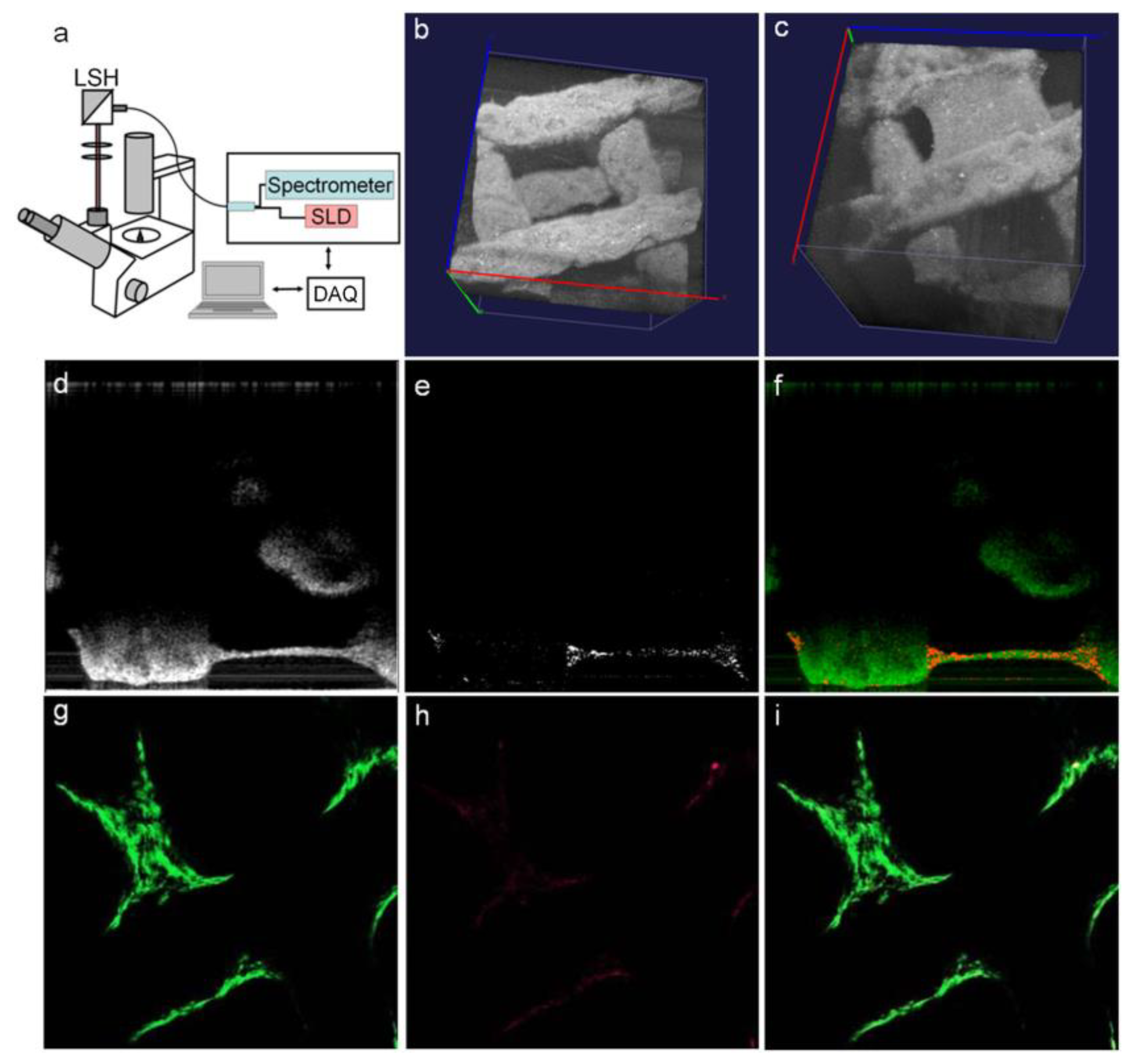 Micromachines 10 00474 g010