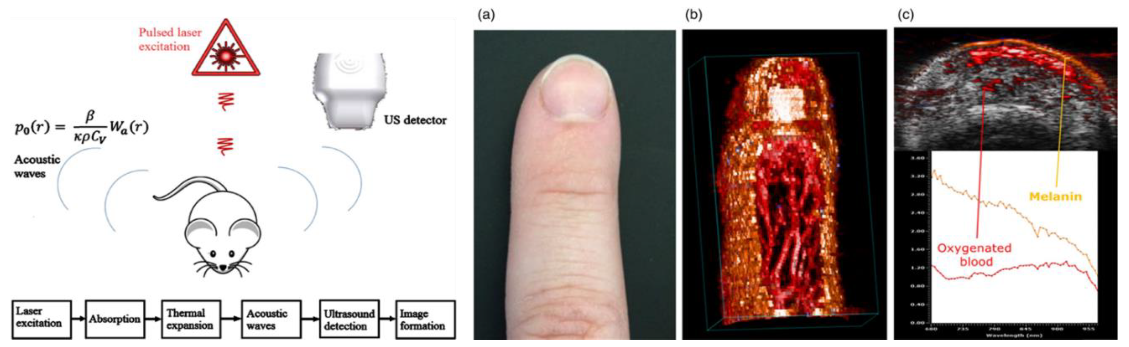 Micromachines 10 00474 g011