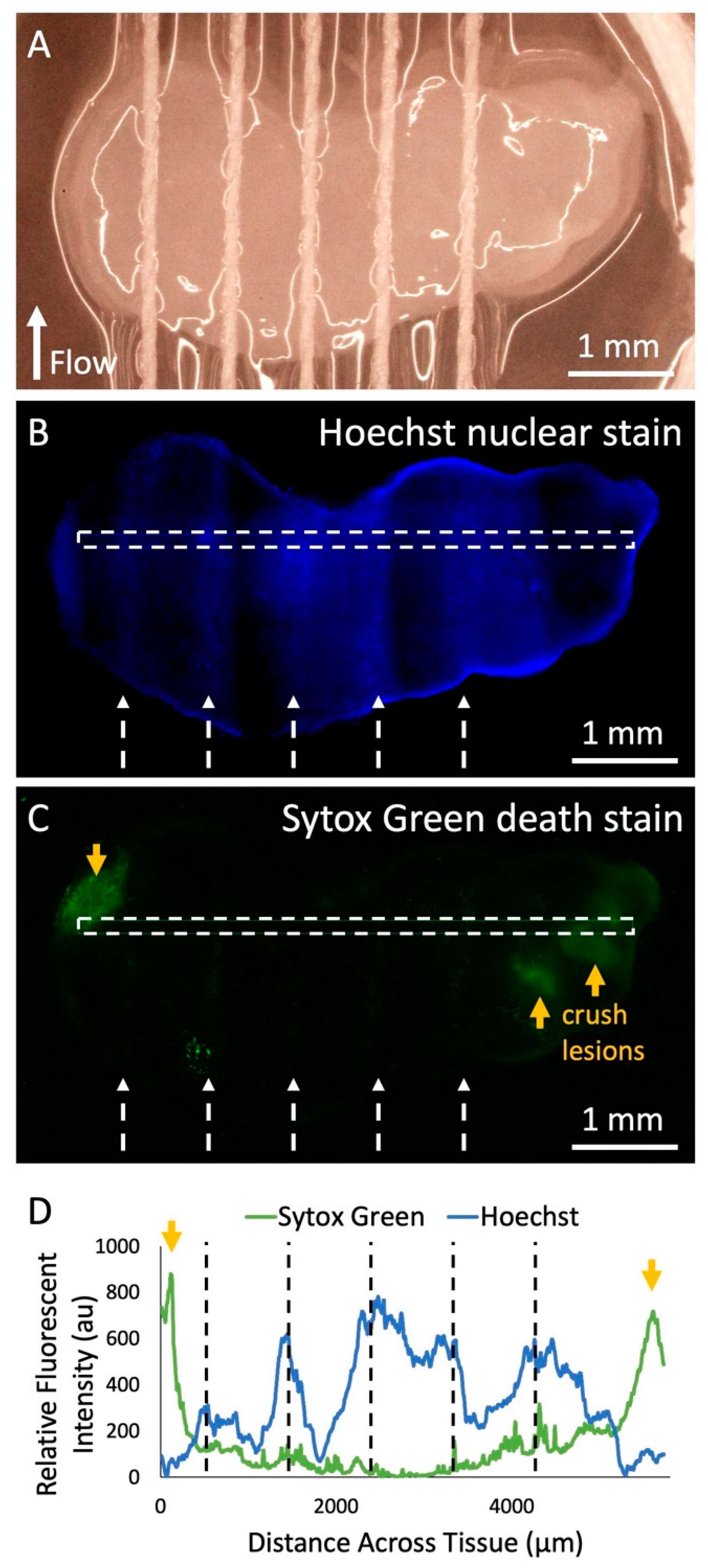 Micromachines 10 00481 g005