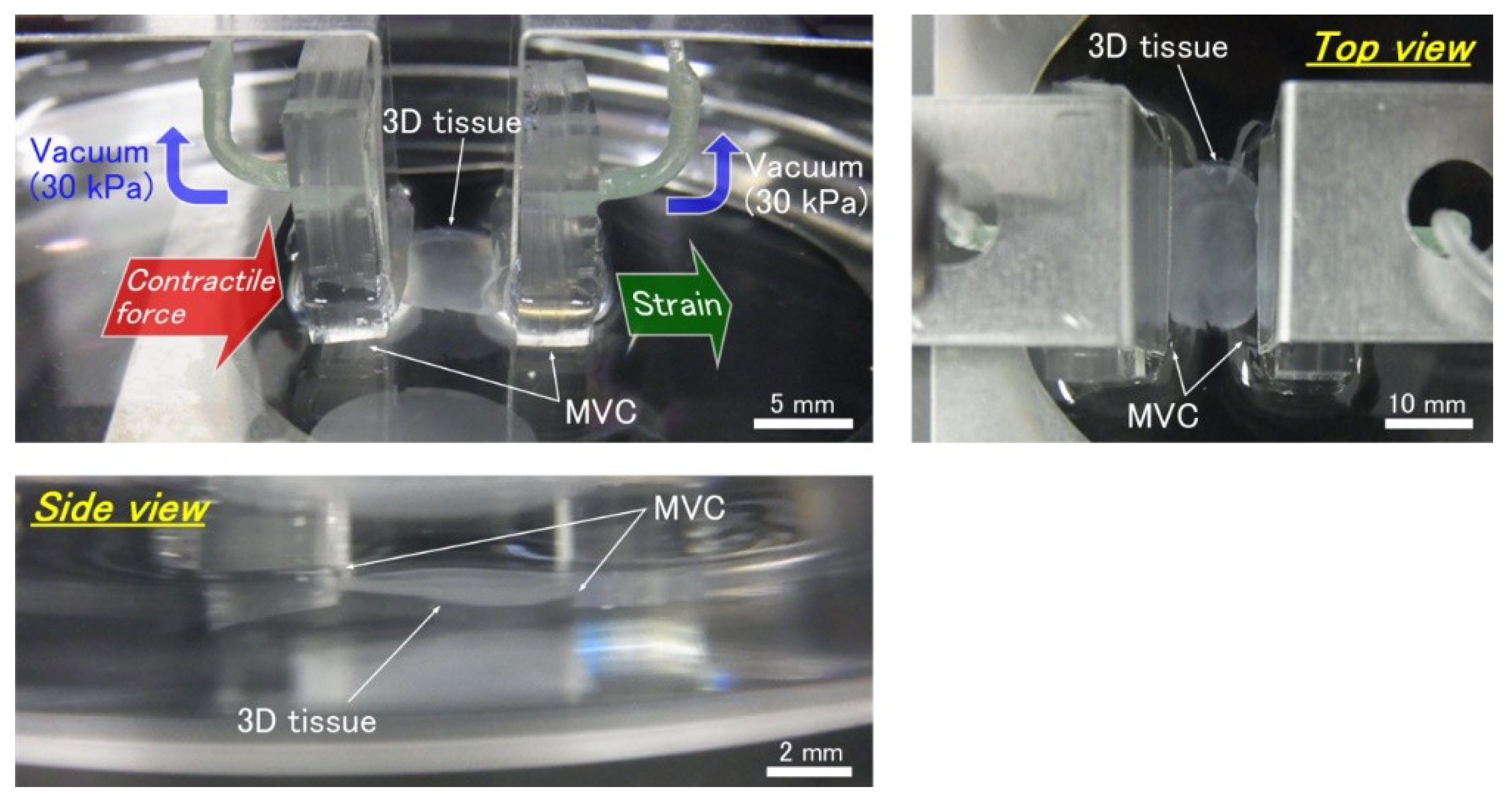 Micromachines 10 00487 g007 Micromachines 10 00487 g007