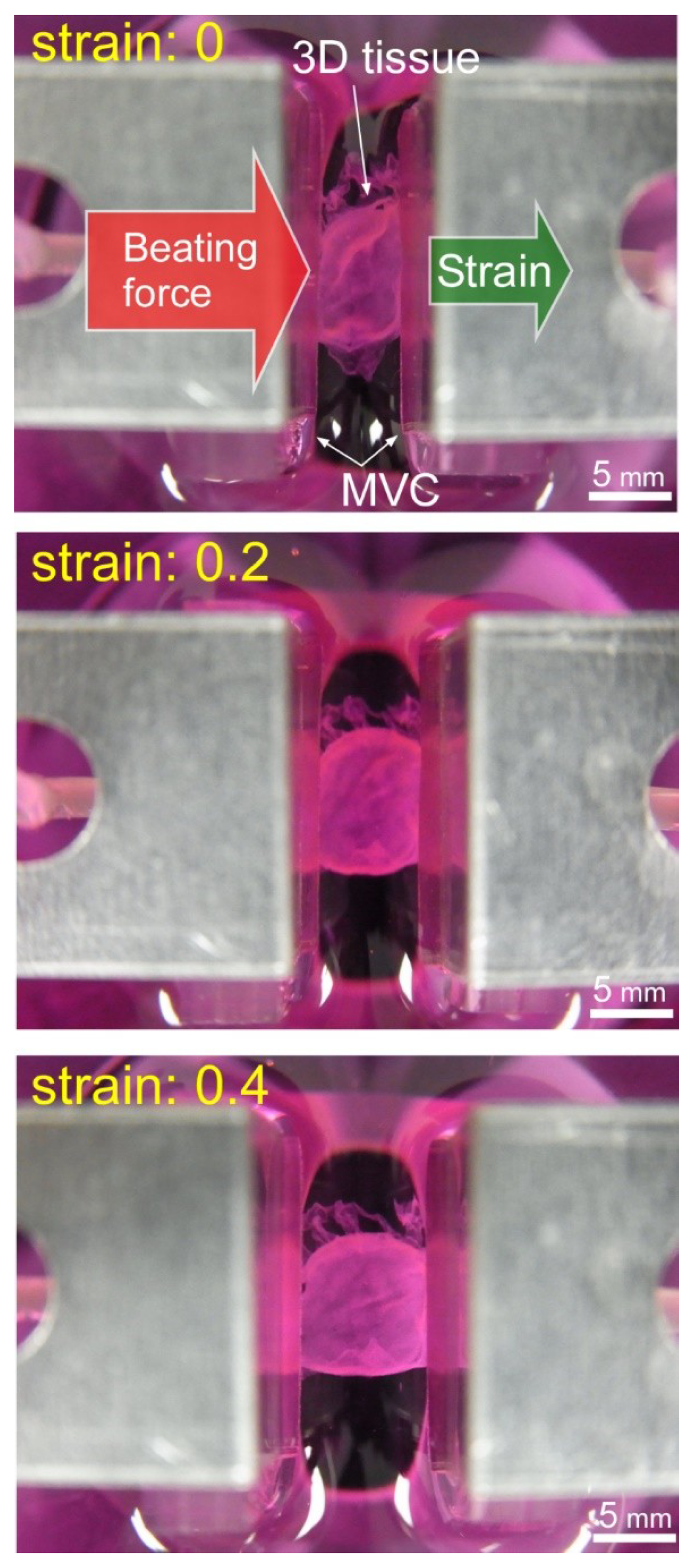 Micromachines 10 00487 g008 Micromachines 10 00487 g008