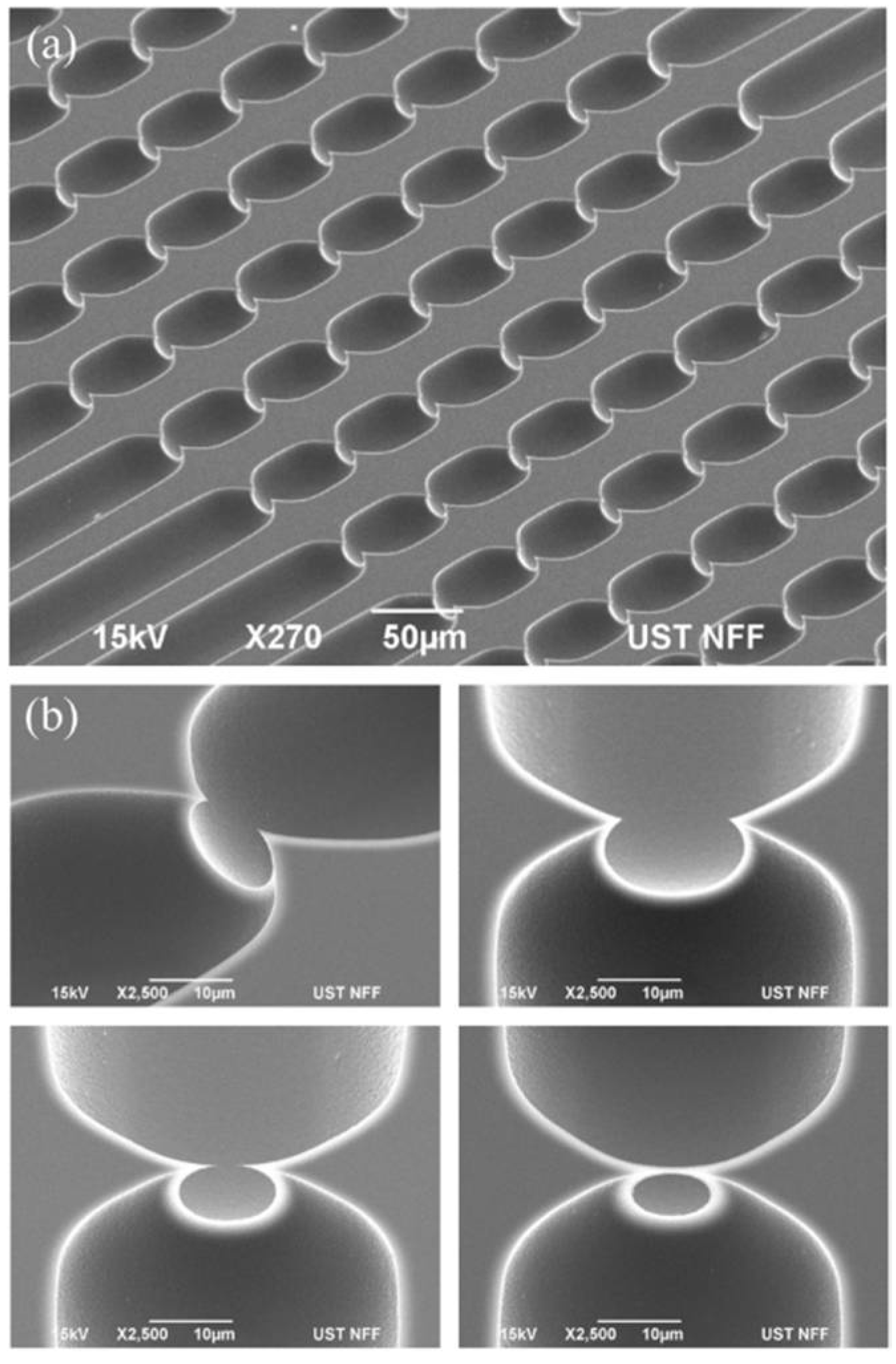 Micromachines 10 00488 g002