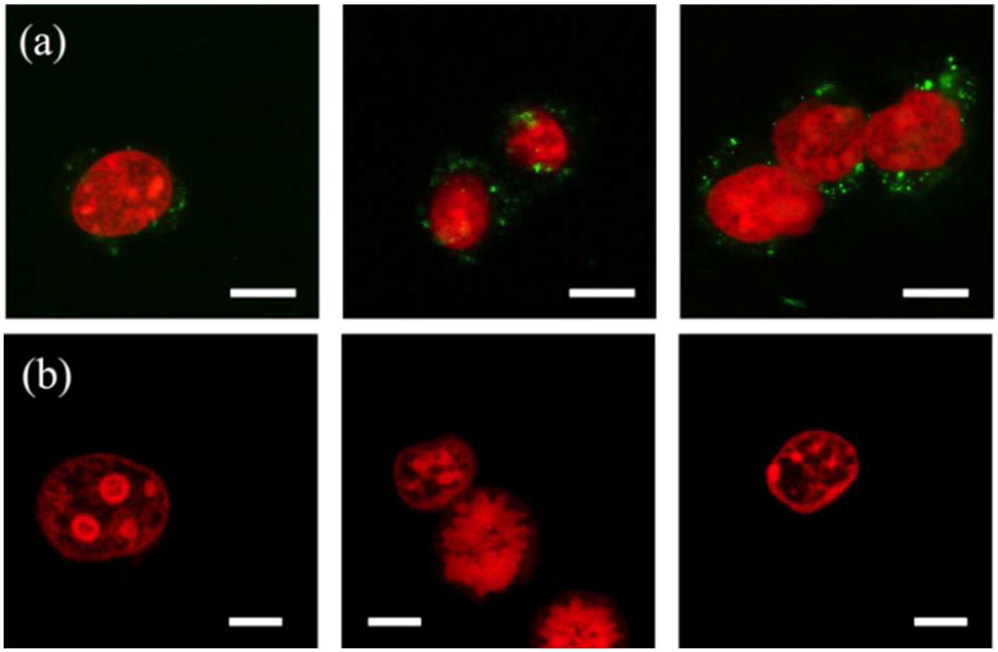 Micromachines 10 00488 g006