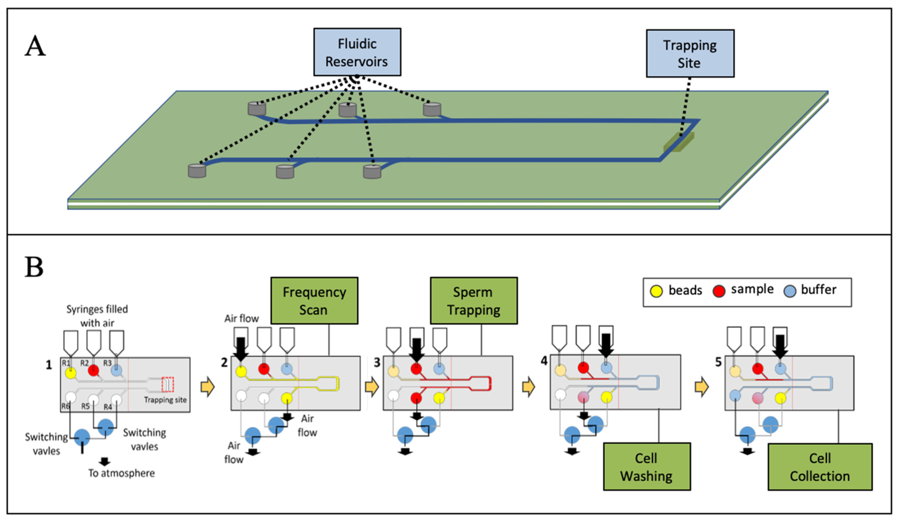 Micromachines 10 00489 g002
