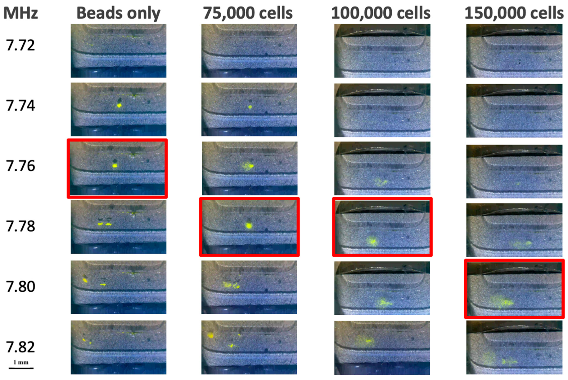 Micromachines 10 00489 g003