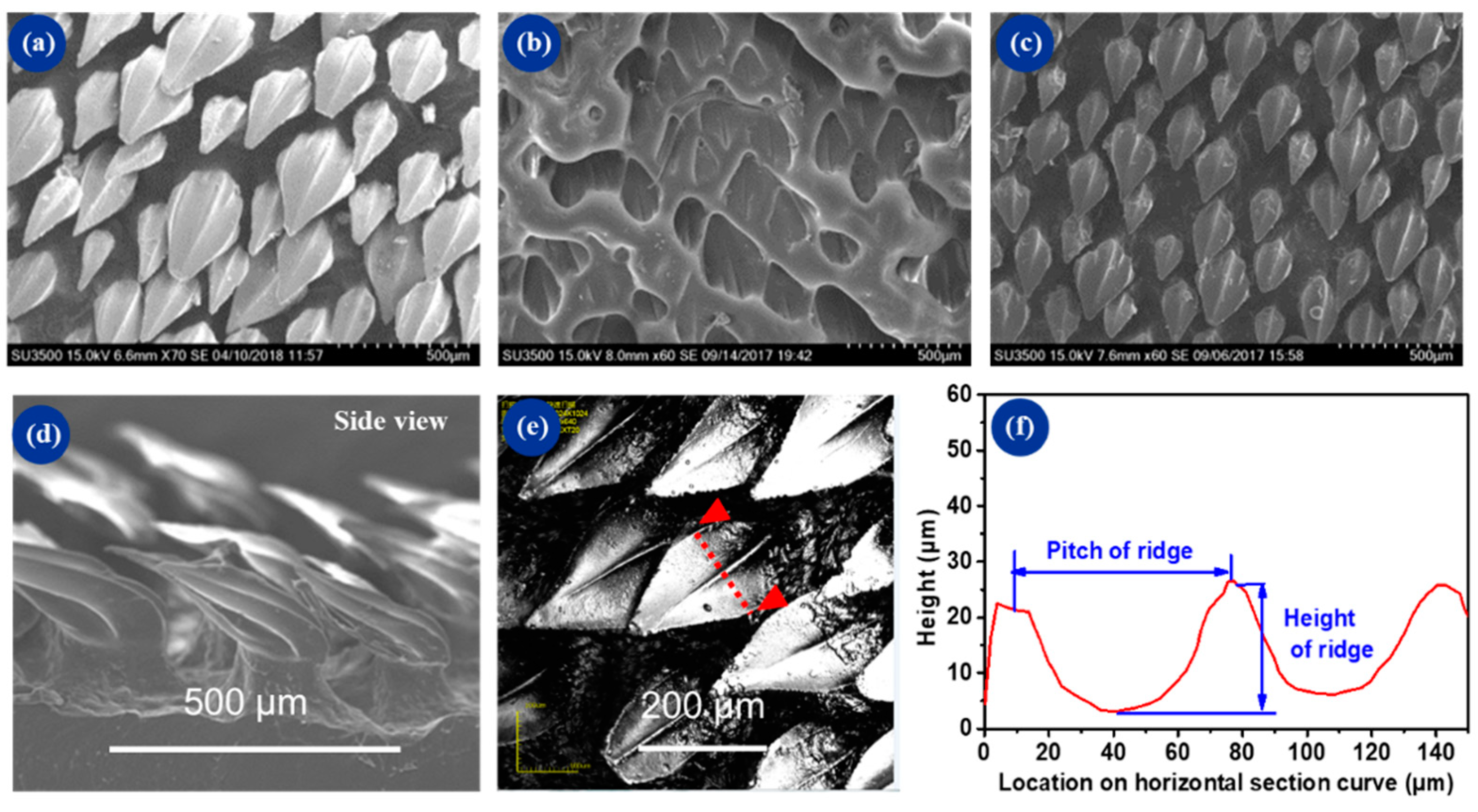 Micromachines 10 00490 g004