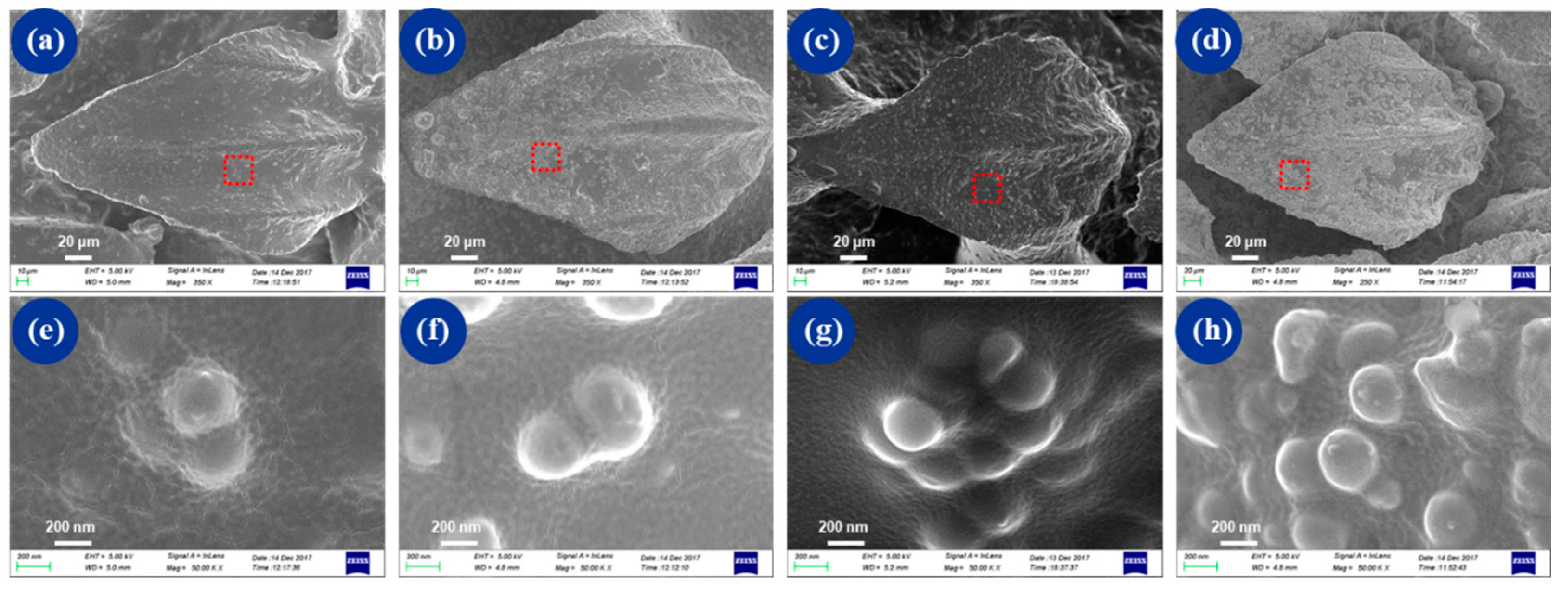Micromachines 10 00490 g005