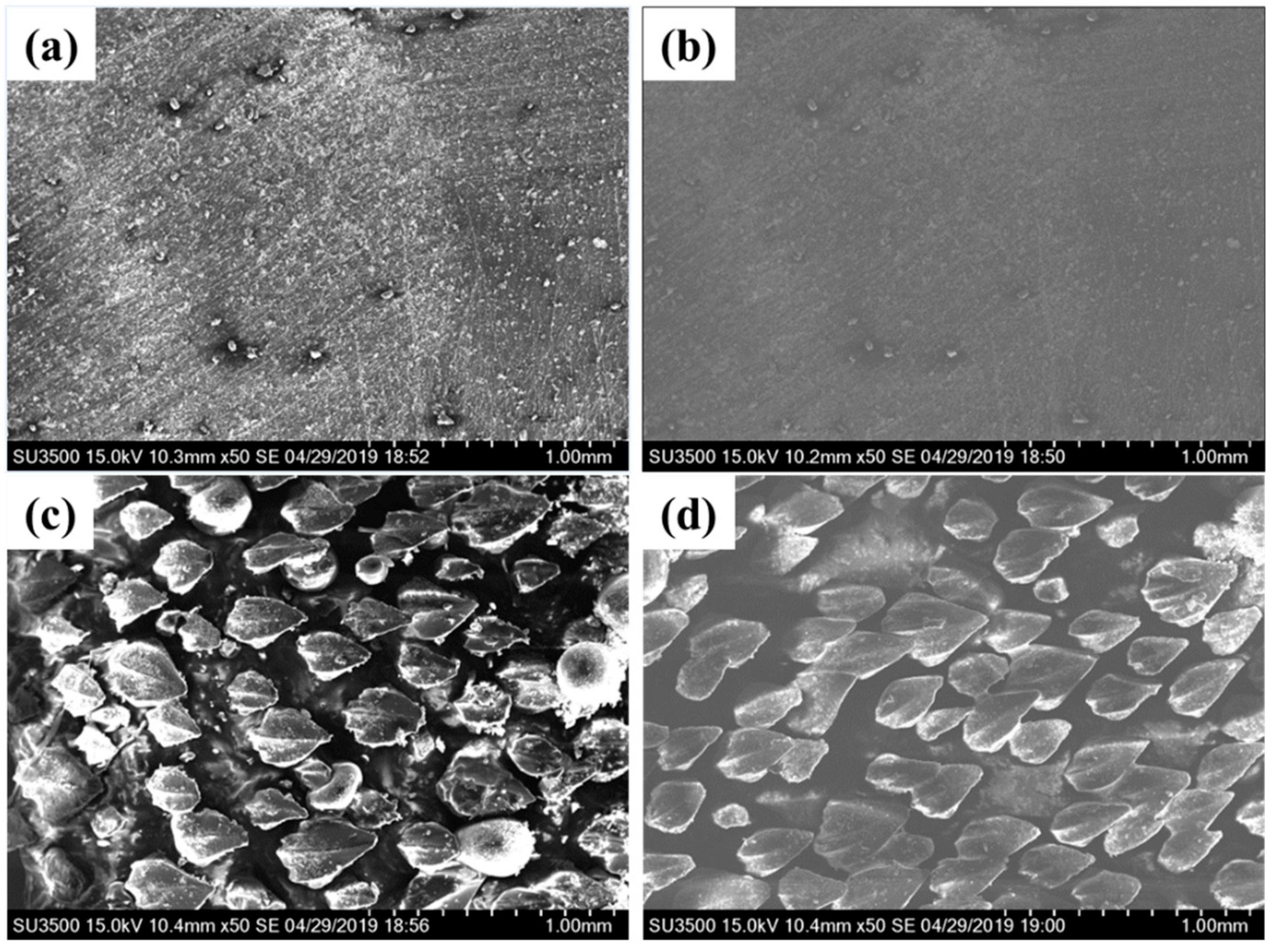 Micromachines 10 00490 g010