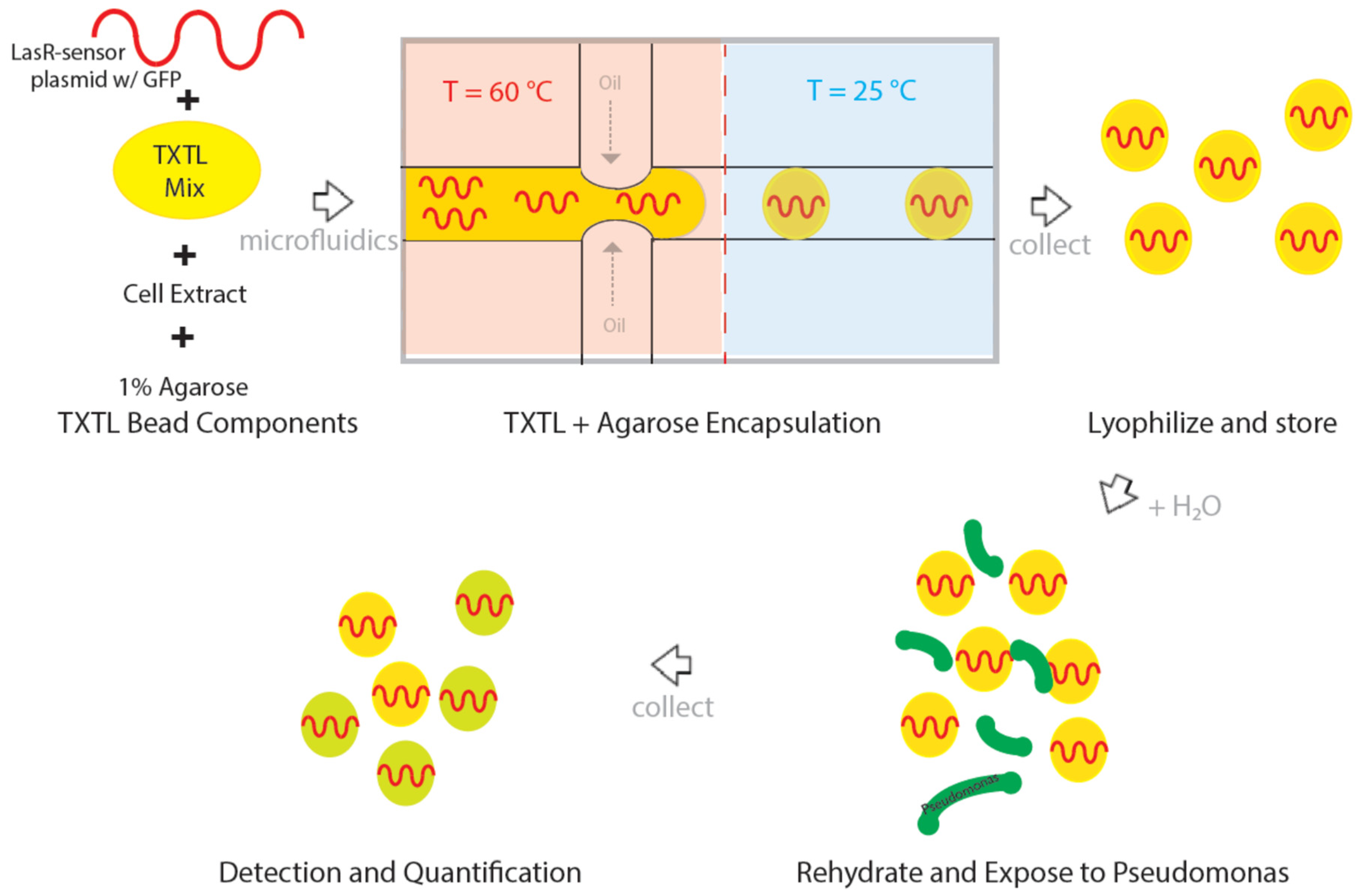 Micromachines 10 00506 g002 Micromachines 10 00506 g002