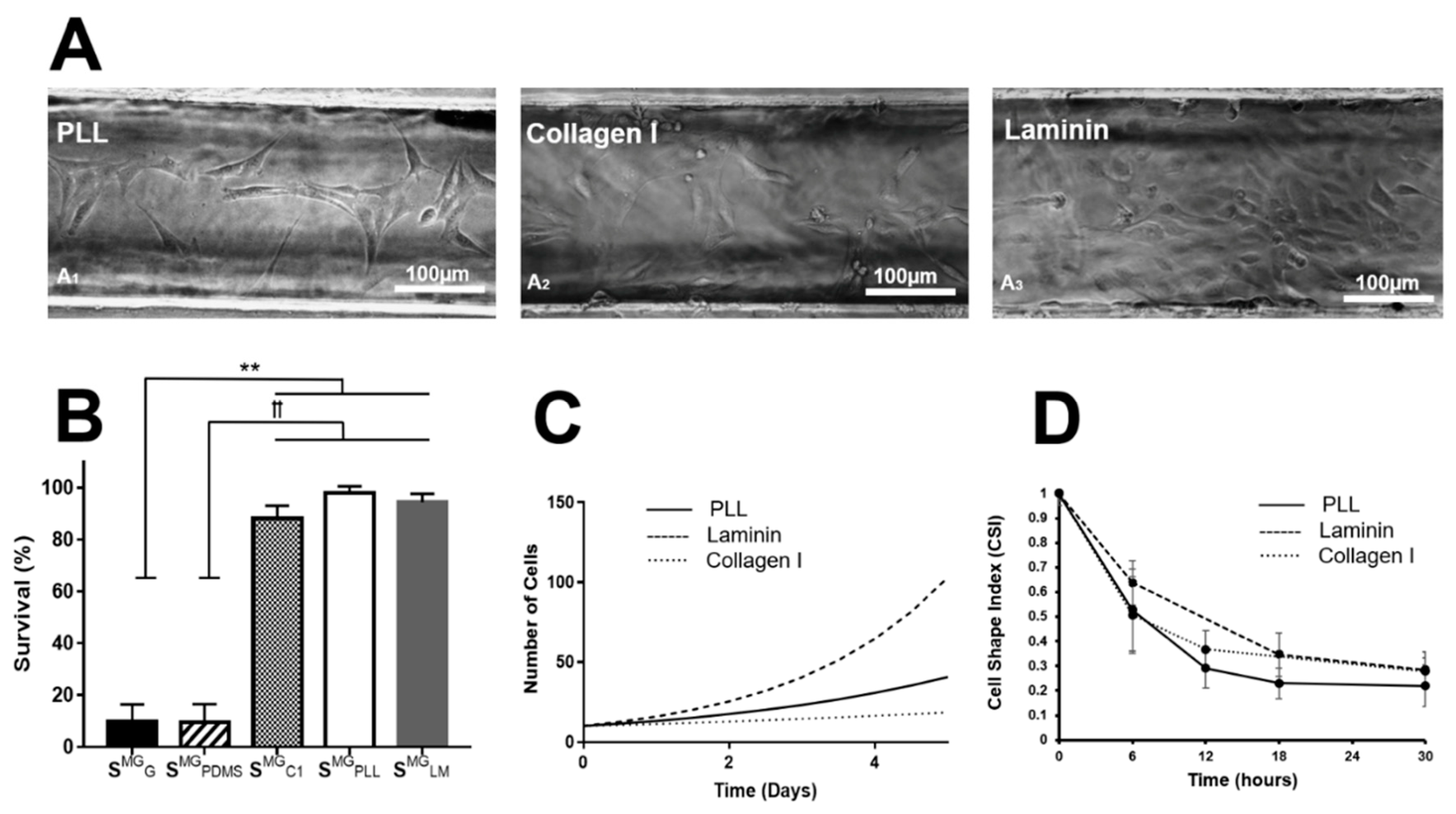 Micromachines 10 00513 g005 Micromachines 10 00513 g005