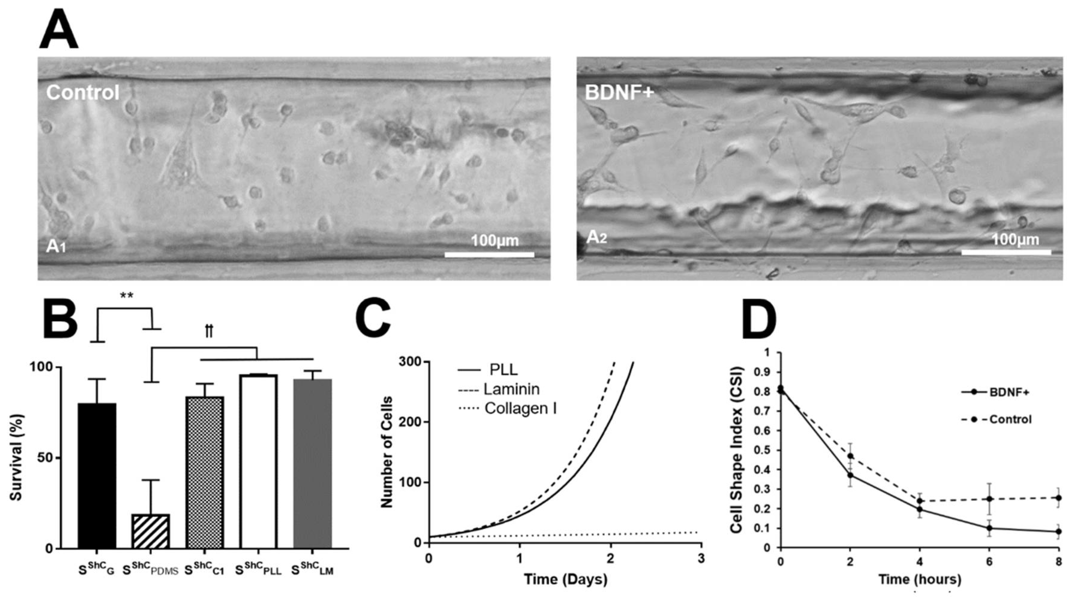 Micromachines 10 00513 g006 Micromachines 10 00513 g006