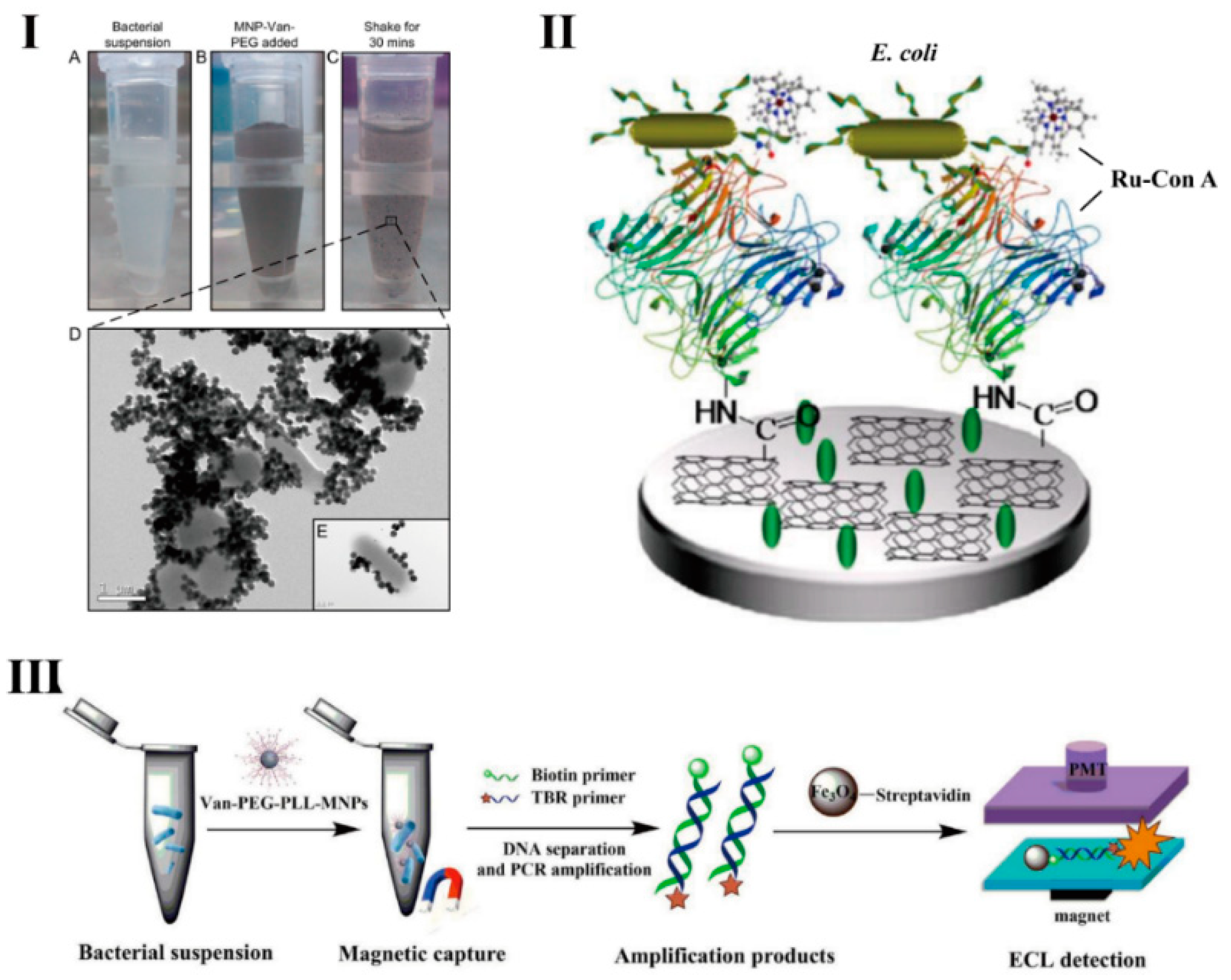 Micromachines 10 00532 g002