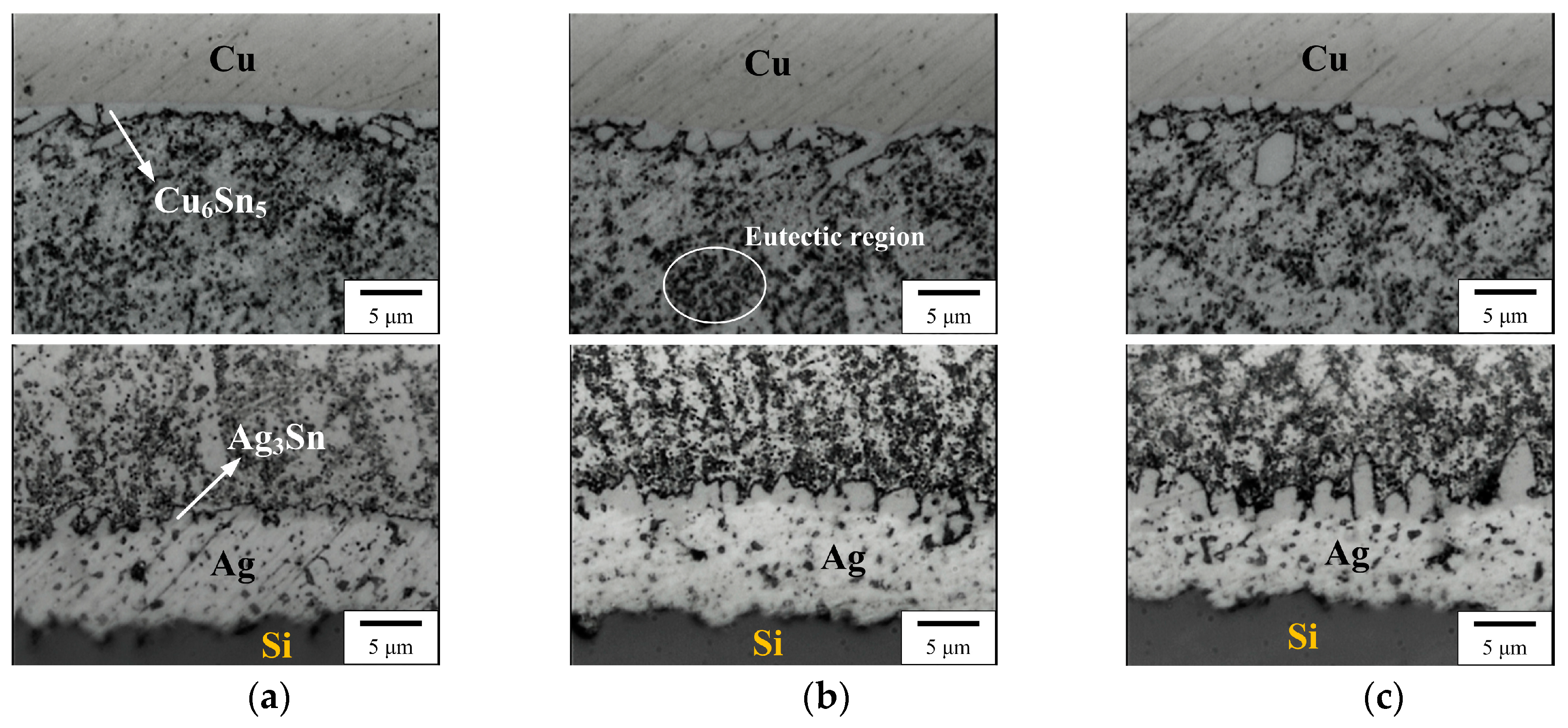 Micromachines 10 00550 g001