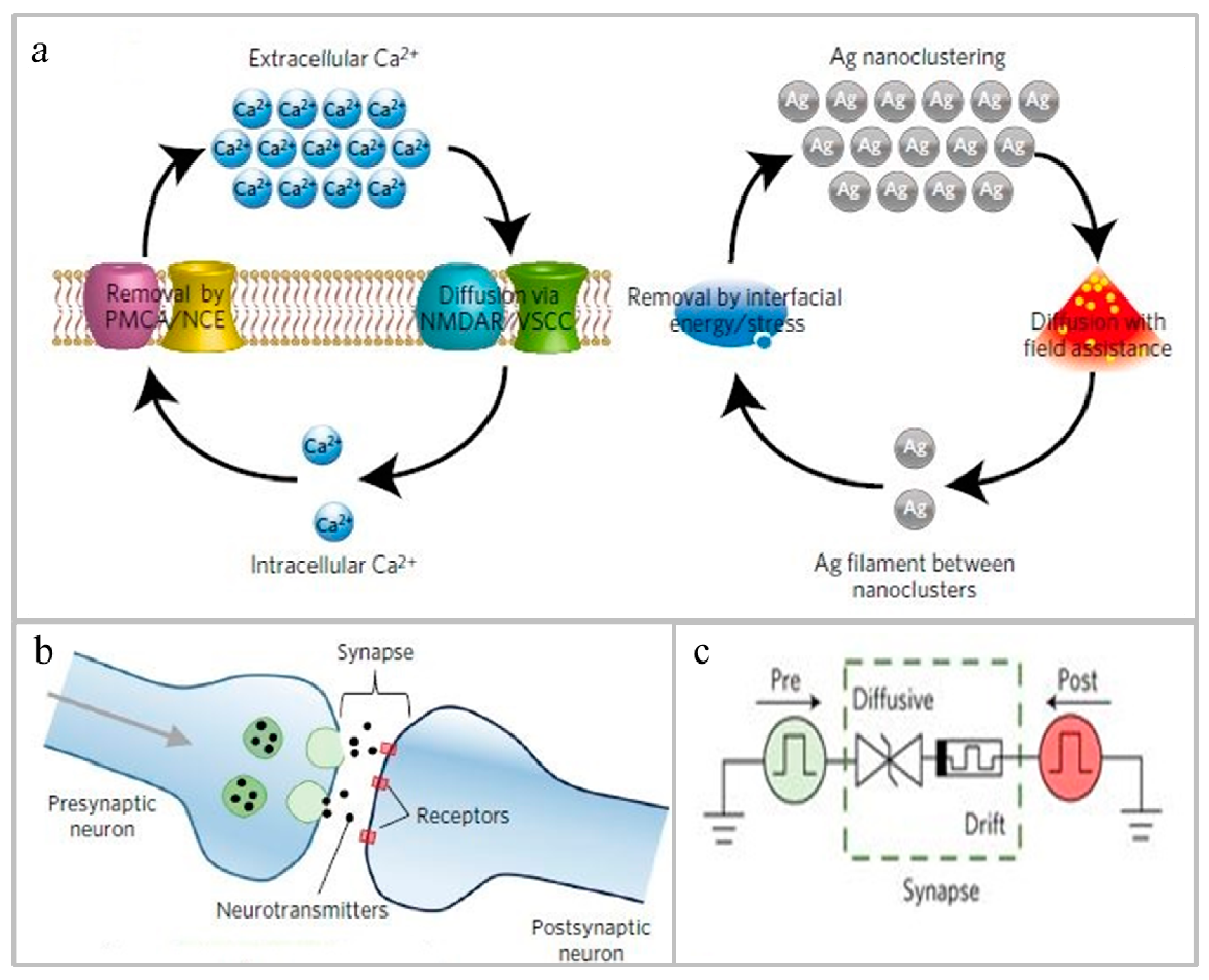Micromachines 10 00552 g005