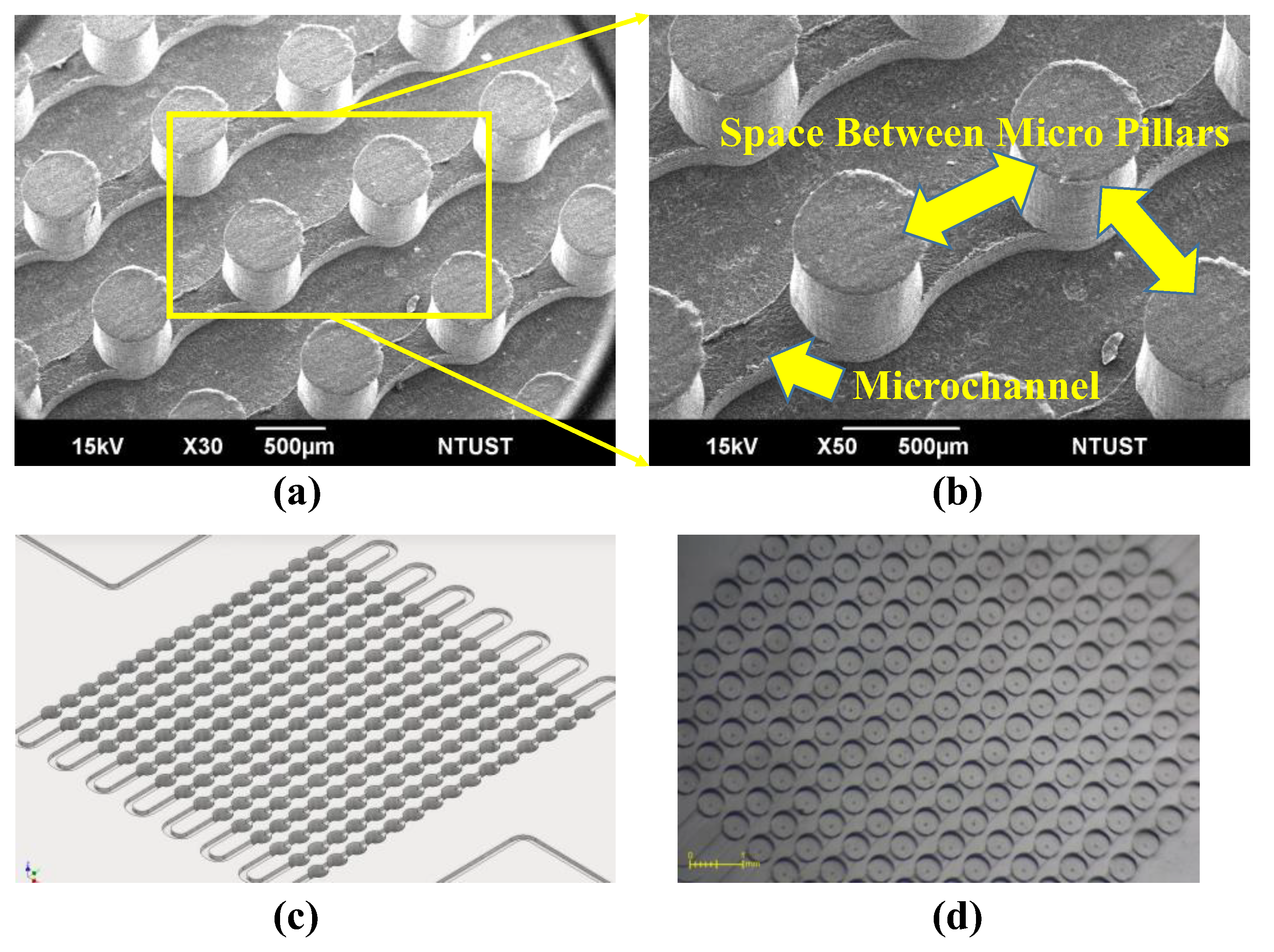 Micromachines 10 00572 g001