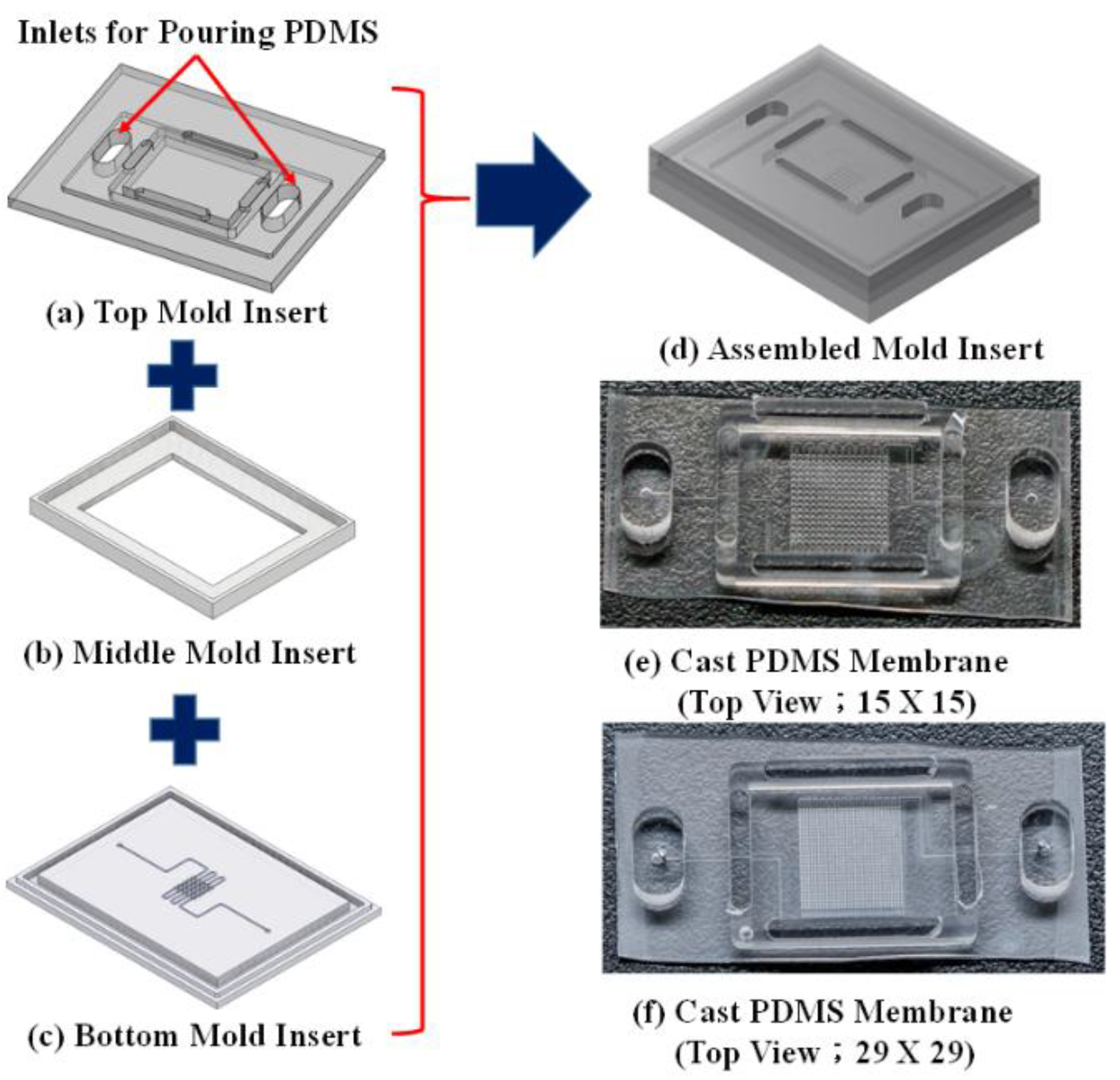 Micromachines 10 00572 g005