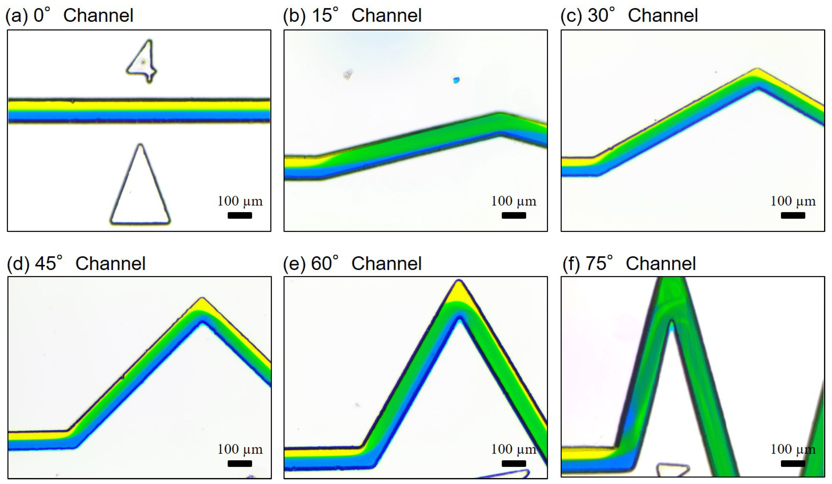 Micromachines 10 00583 g010