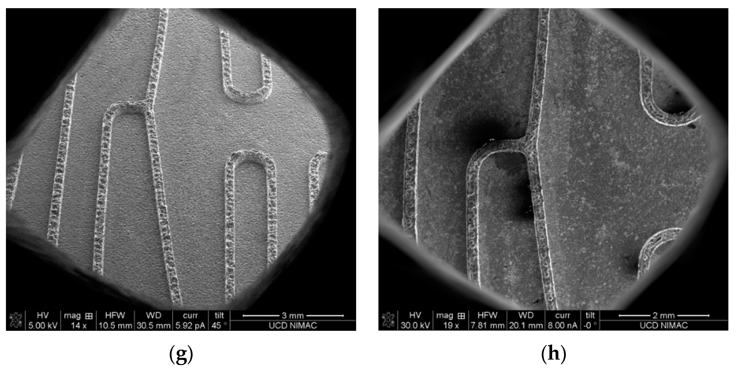 Micromachines 10 00595 g007b