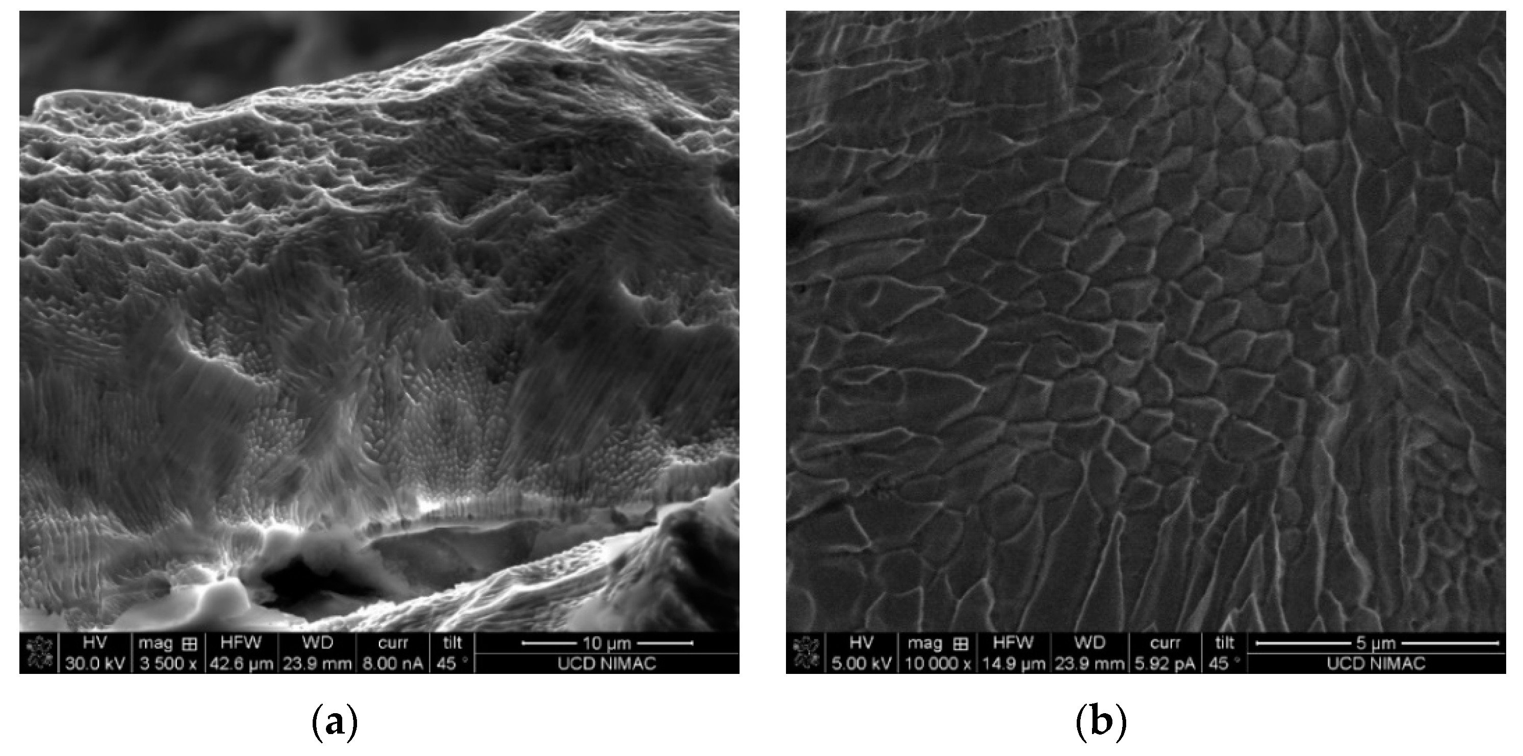Micromachines 10 00595 g008