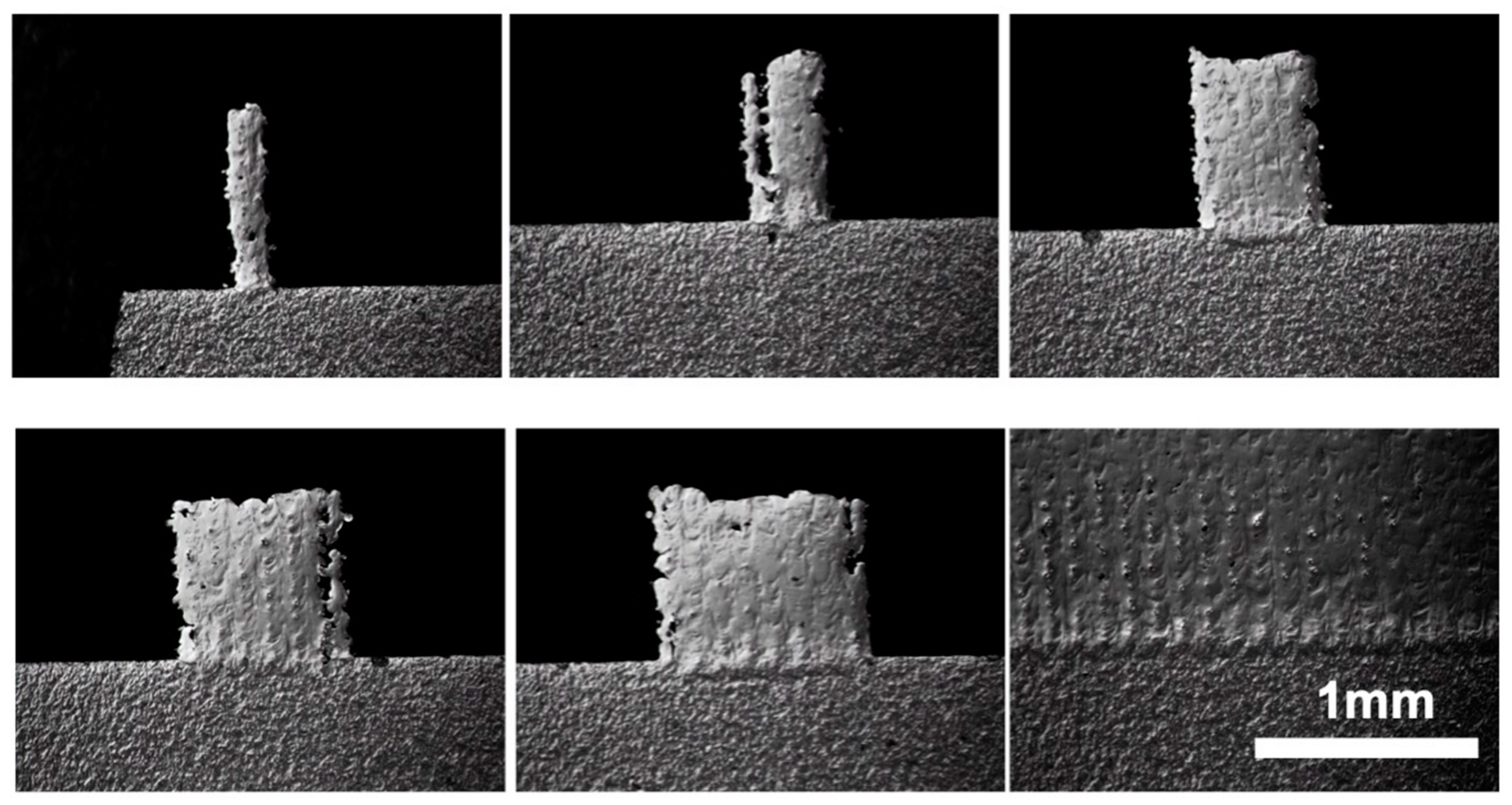Micromachines 10 00595 g012