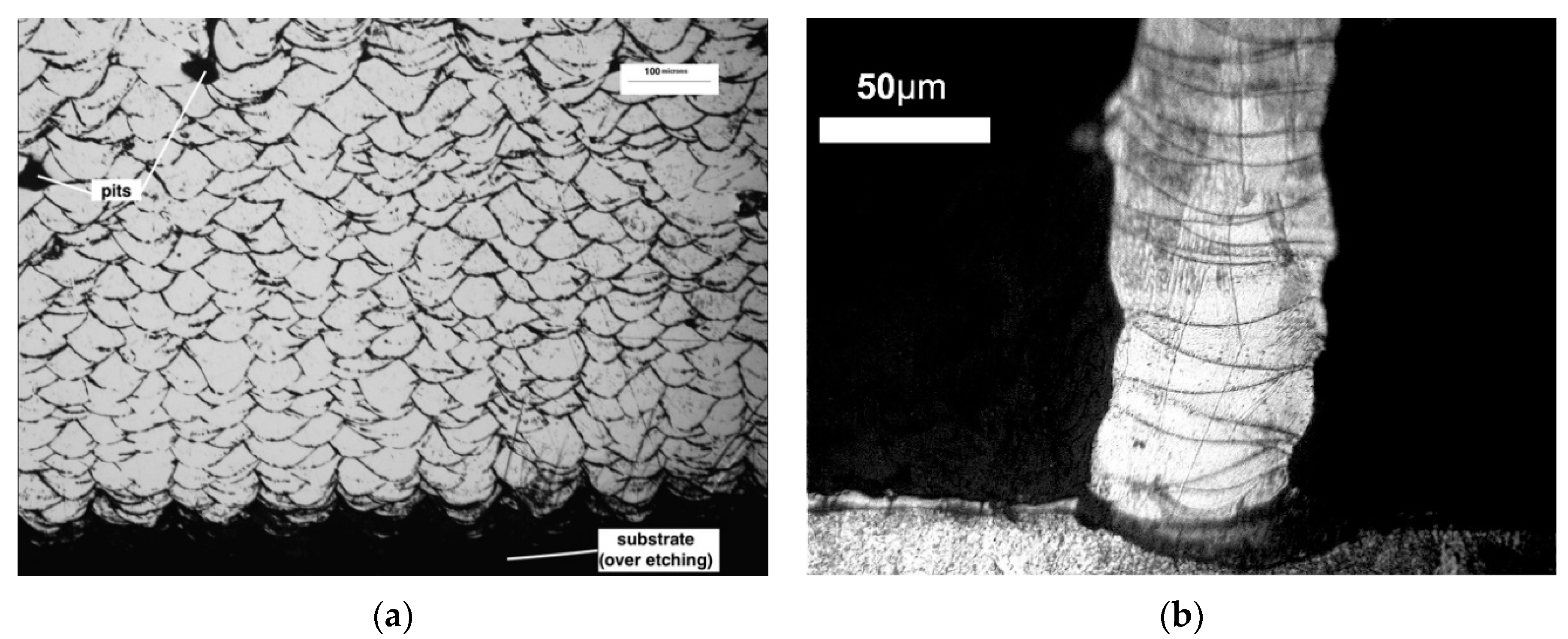 Micromachines 10 00595 g013