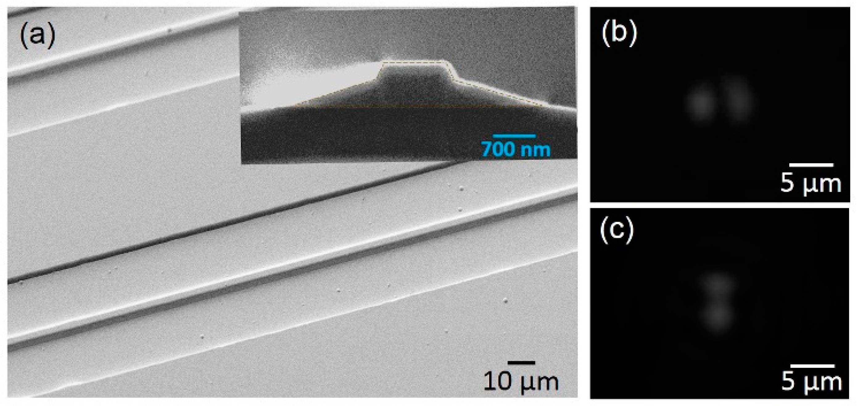 Micromachines 10 00612 g002