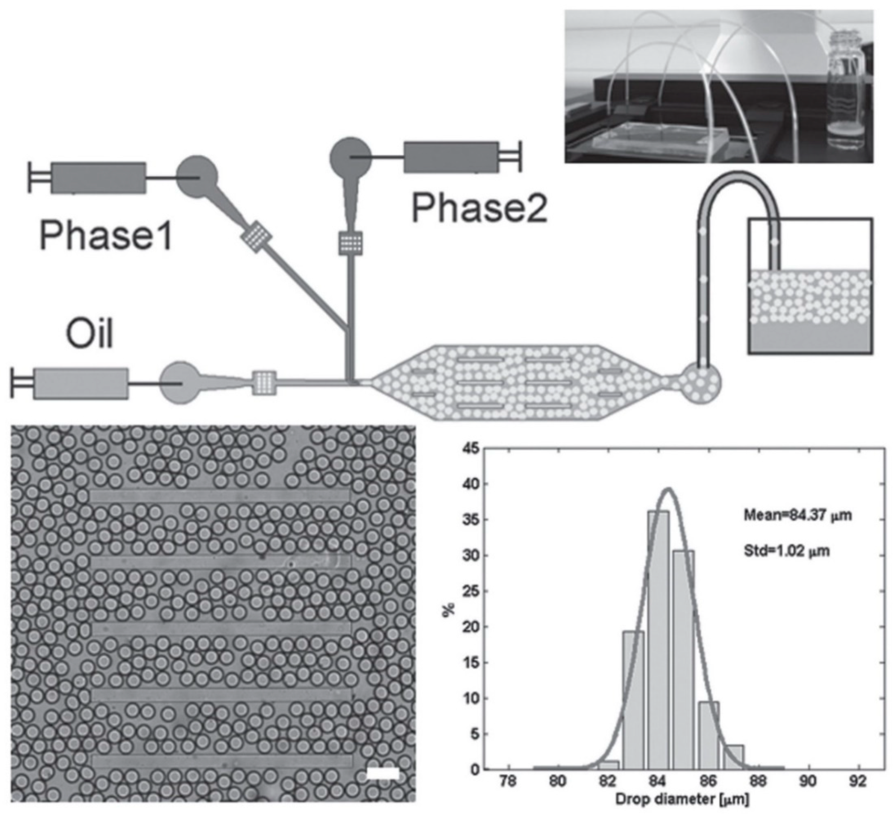Micromachines 10 00627 g005