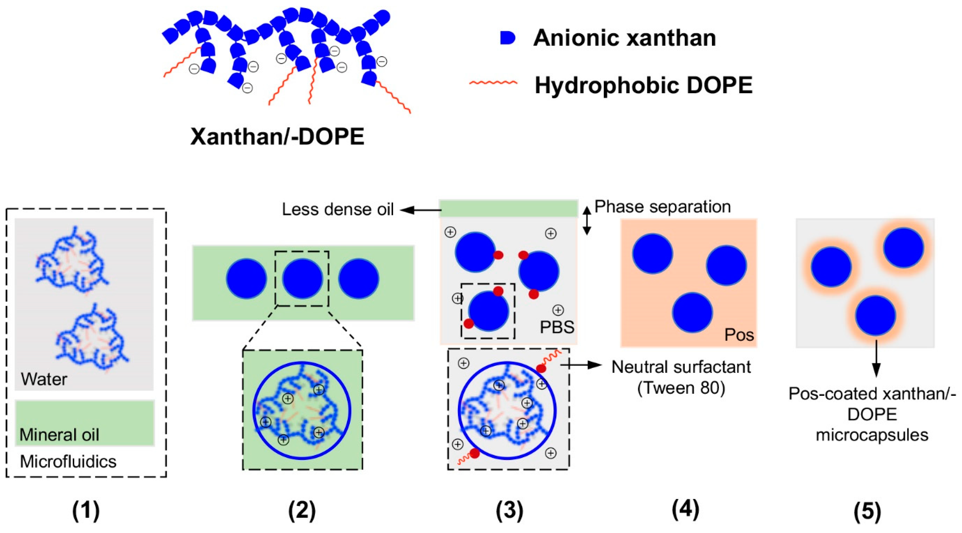 Micromachines 10 00627 g009