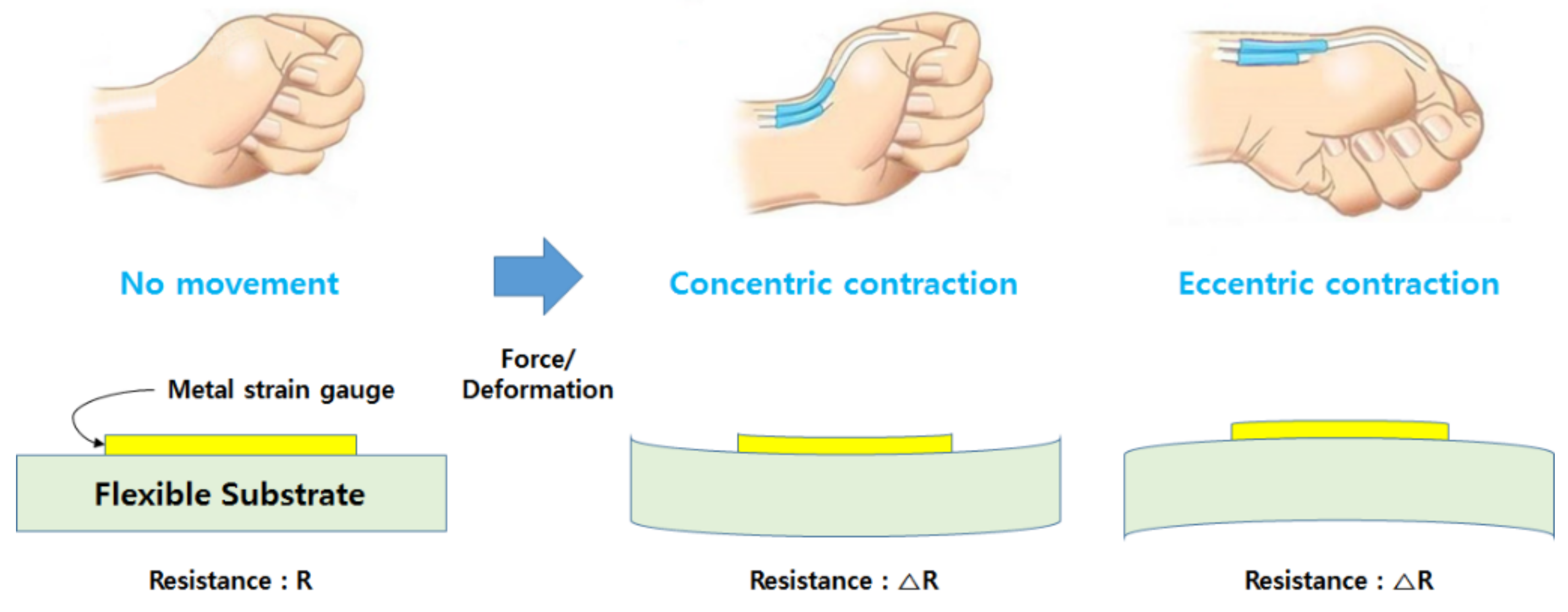Micromachines 10 00692 g003