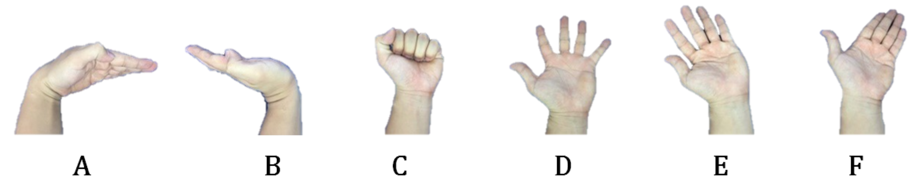 Micromachines 10 00692 g012