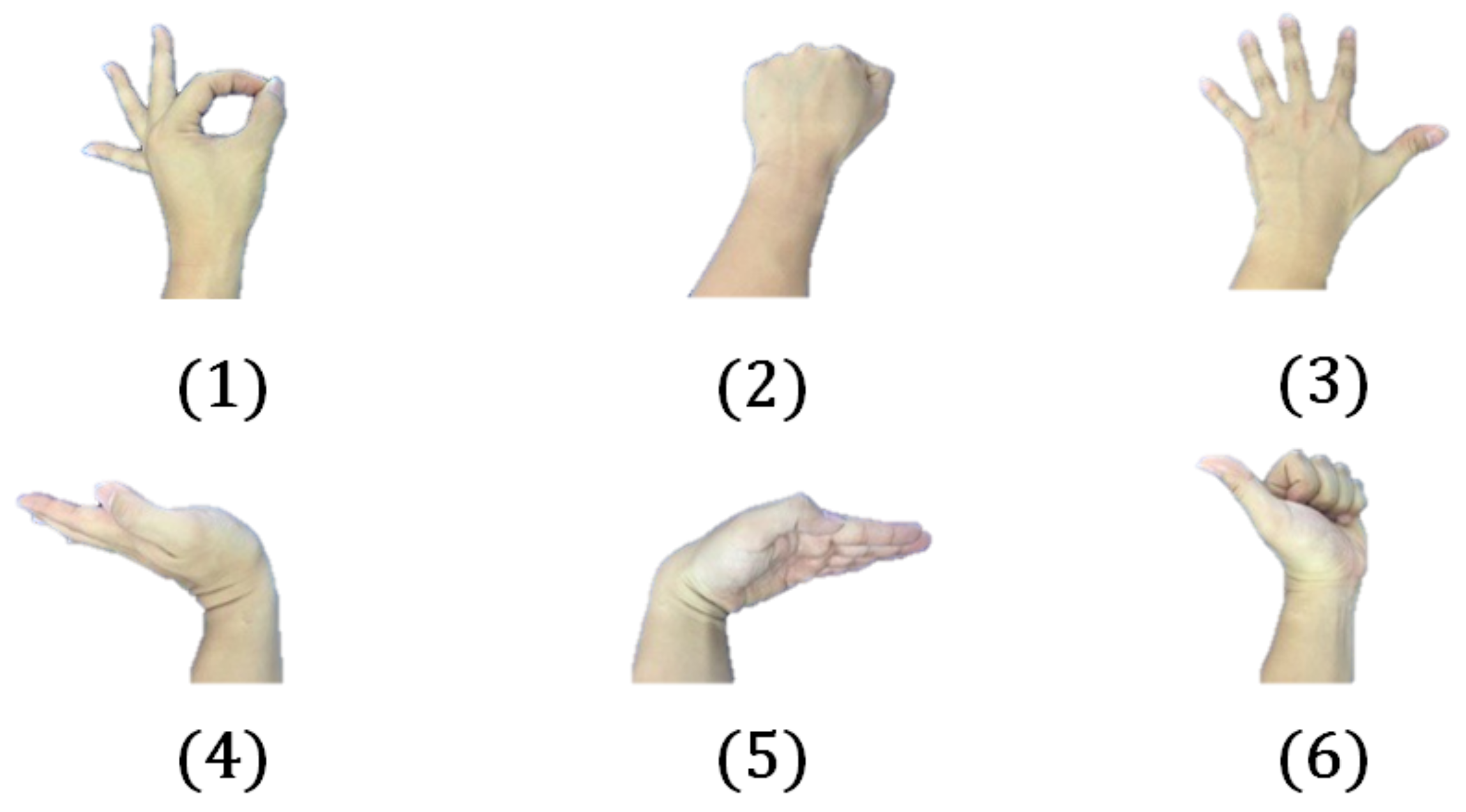 Micromachines 10 00692 g014