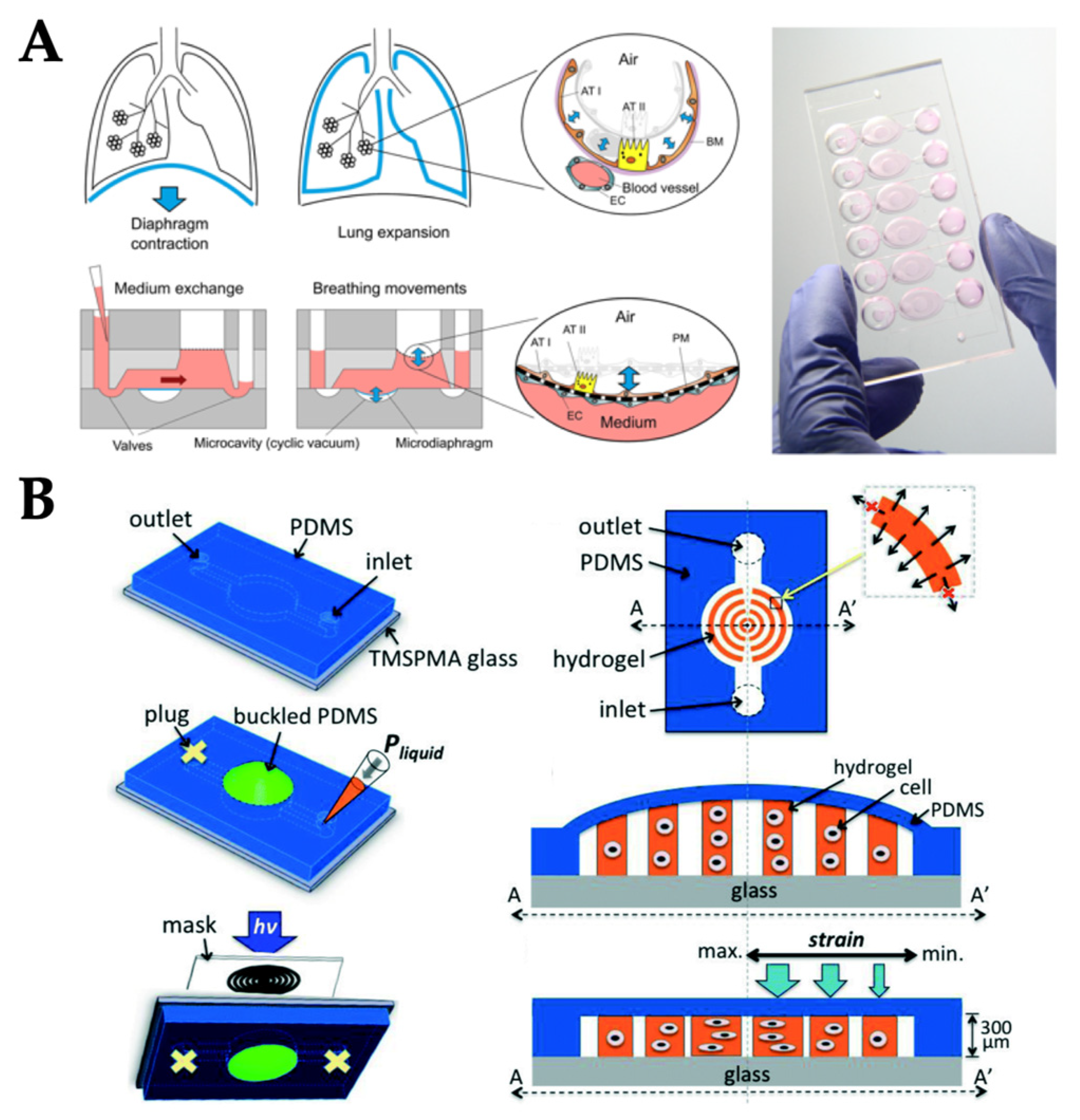 Micromachines 10 00700 g006 Micromachines 10 00700 g006