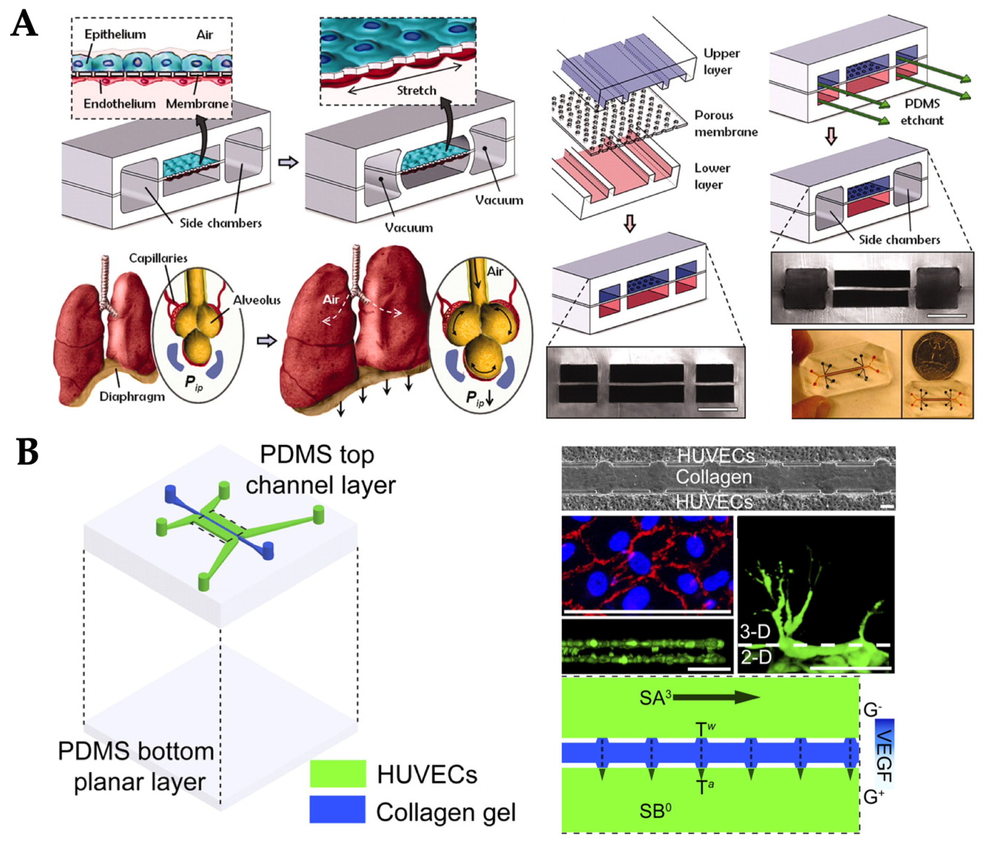 Micromachines 10 00700 g008 Micromachines 10 00700 g008
