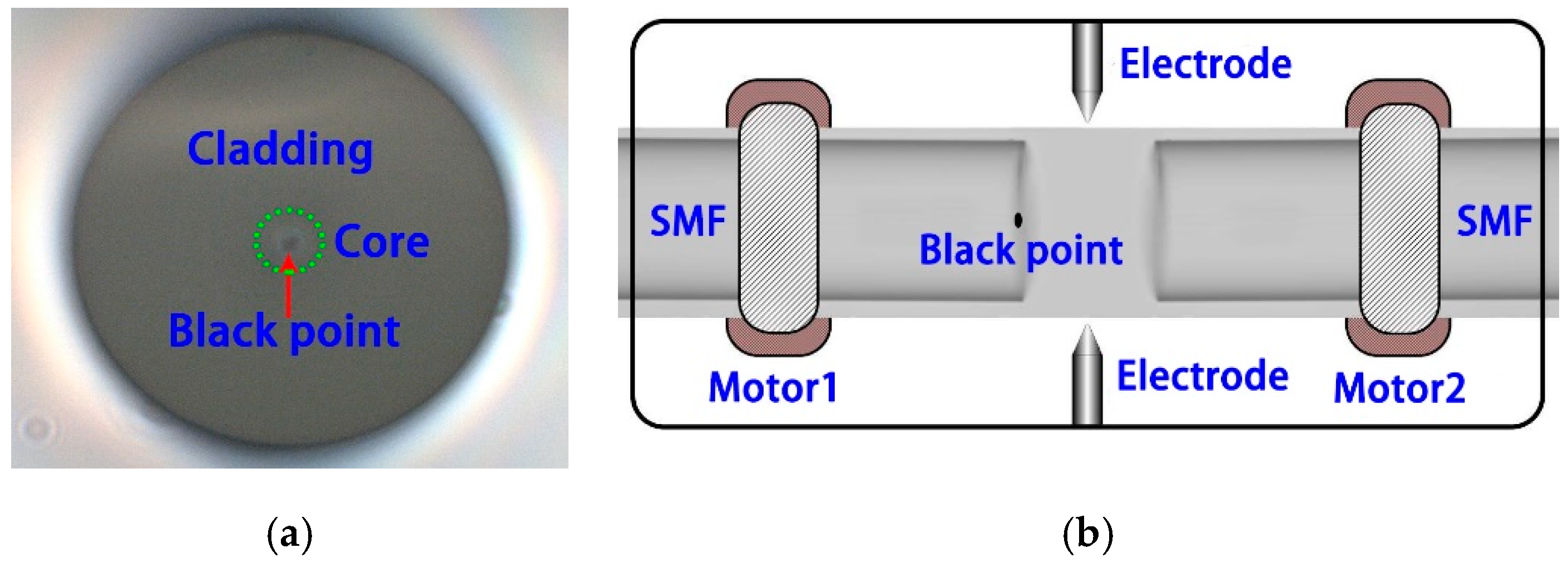 Micromachines 10 00741 g001