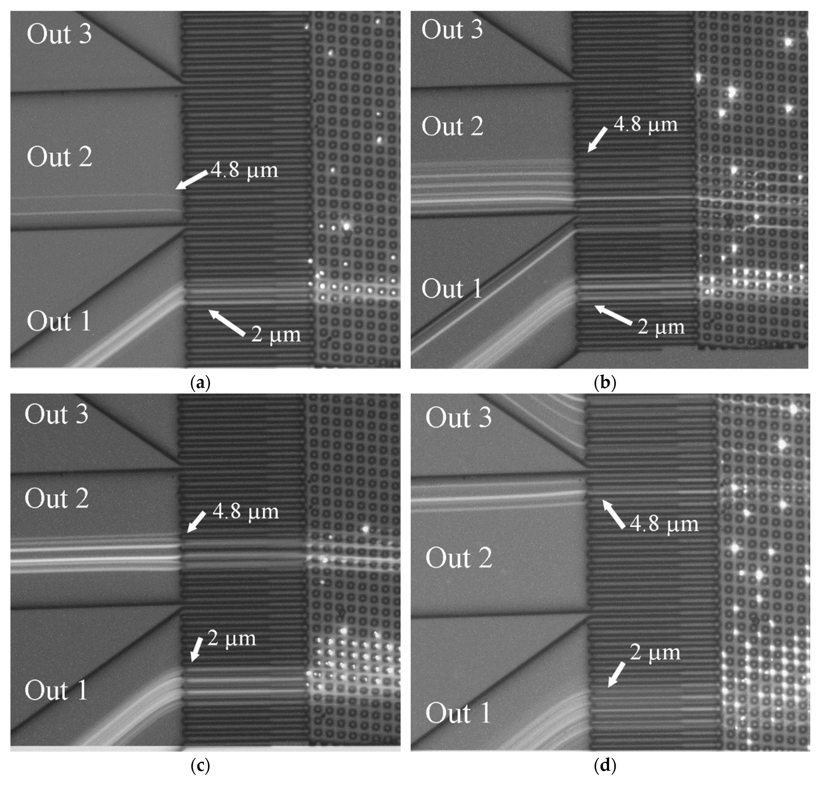 Micromachines 10 00768 g016